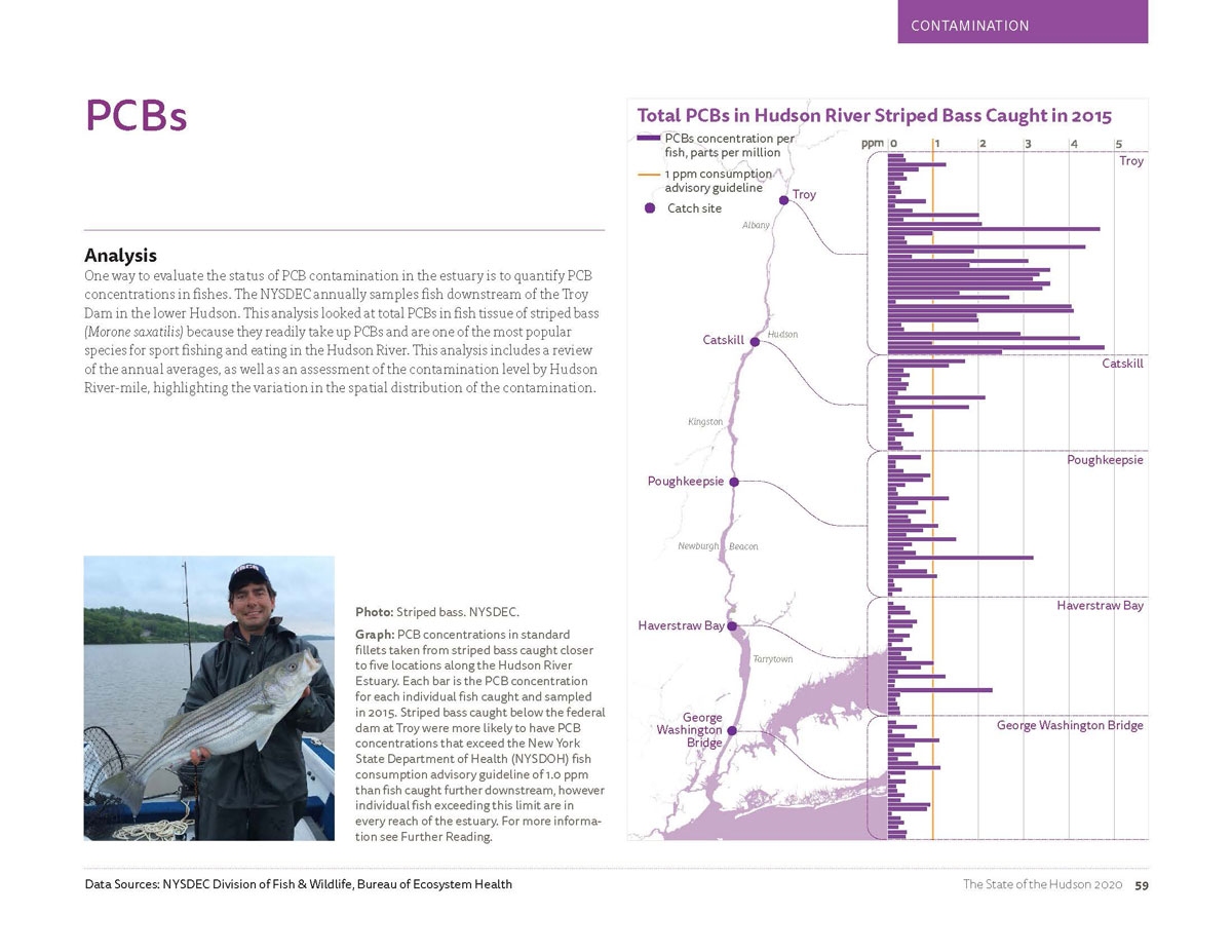 Image is a snapshot of the PCB (or polychlorinated biphenyls) concentrations in Hudson River Striped Bass caught in 2015. For detailed information, view the PDF on page 59.