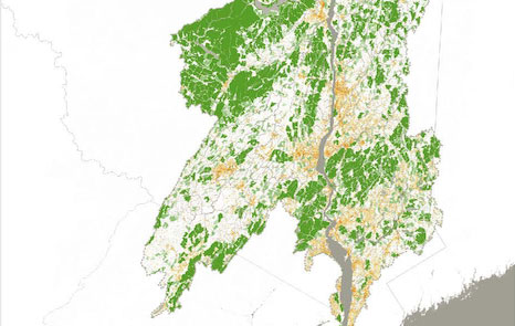 Close-up of data map showing core forest and developed land cover in the Hudson Watershed