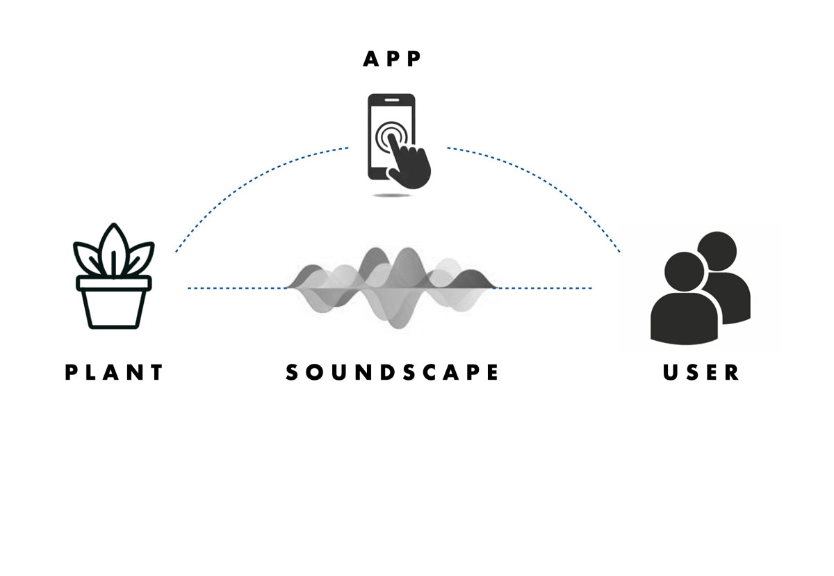 Infographic of the cyclical relationship between plant, app, soundscape, and user
