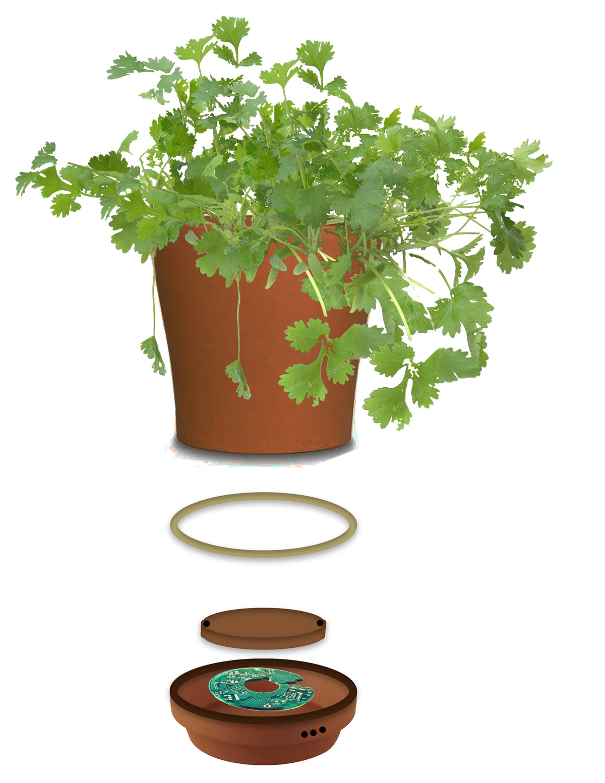 Layers of the prototype: the coriander plant pot, LED, pot dish parts, built-in circuit and speakers