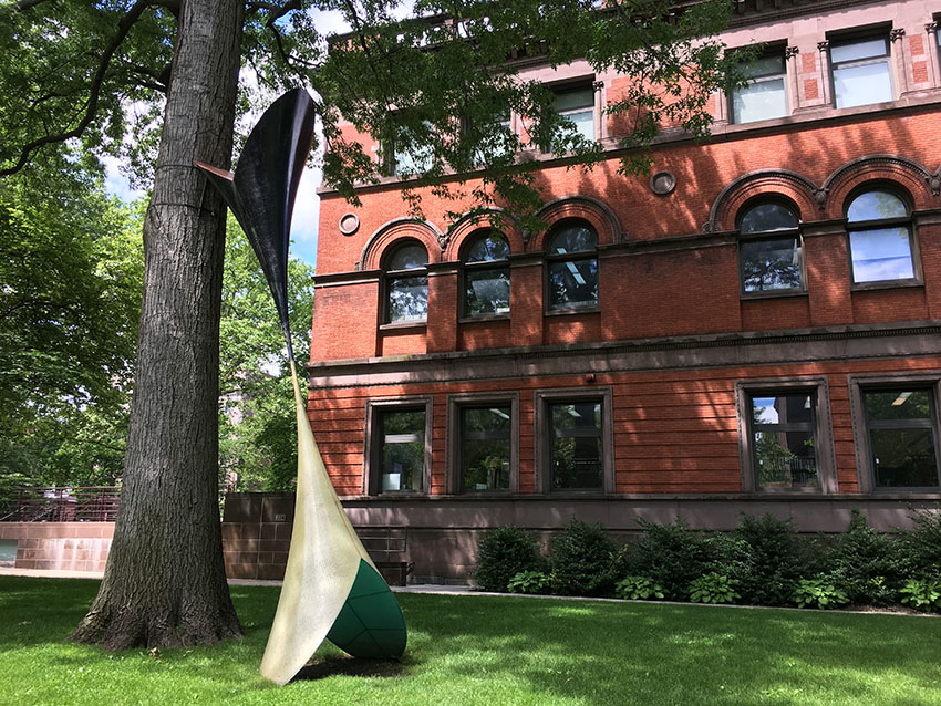 David Henderson's Skylark. Skylark has certain artistic precedents in oversized pop art monuments, but here the non-referential aspect of the piece allows us to enjoy the gracious curved surfaces with semi-opalescent light. Held, seemingly tenuous on the curve of the tree, it has a bird-like lift, as referred to in its title. The clever engineering takes us from one full volume to an attenuated shaft . . . and then to another blossoming form above.
