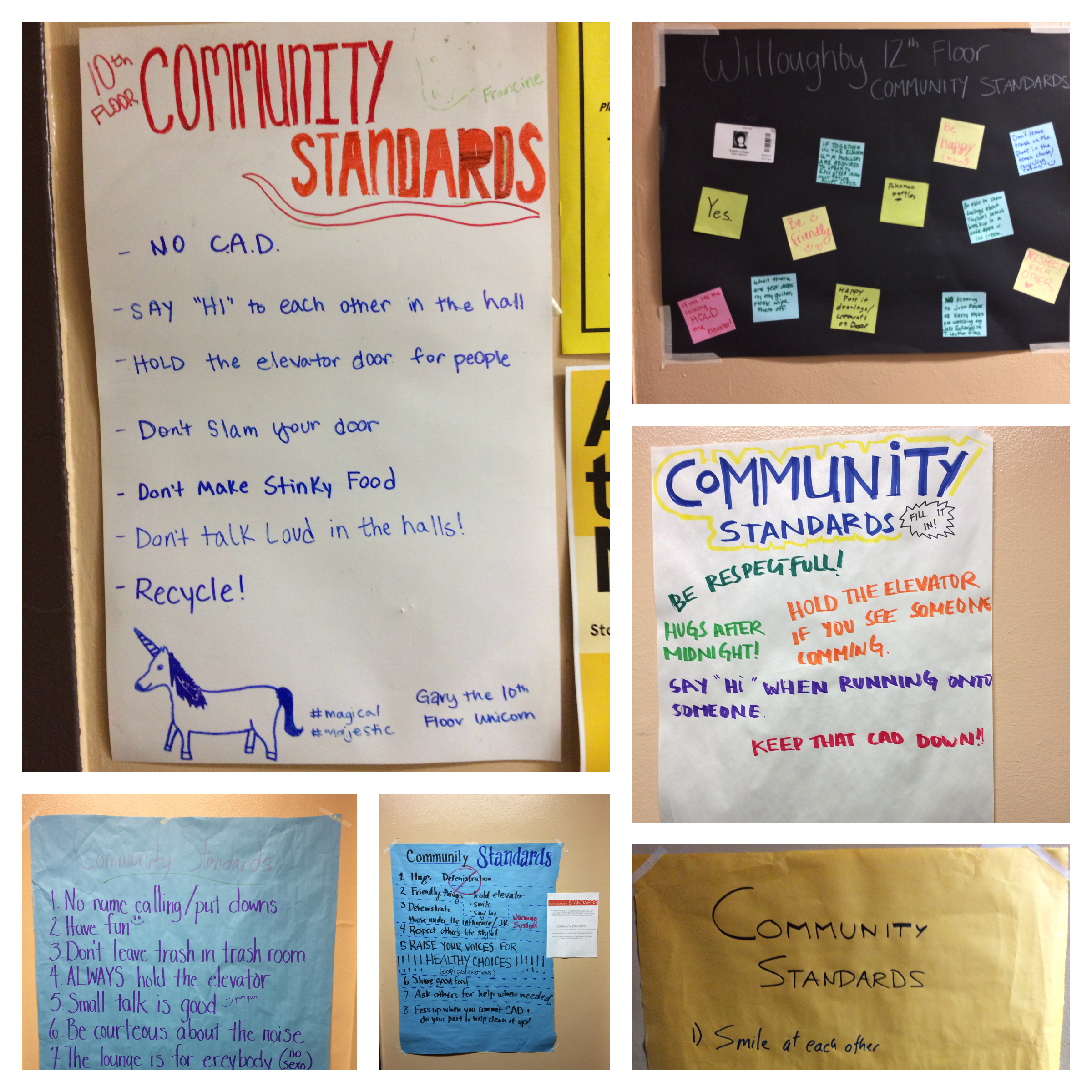 Collage of different Dorm Community Standards