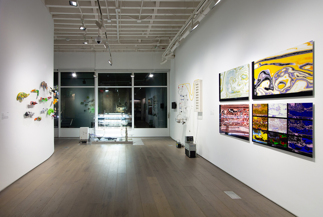 Image of the From Forces to Forms gallery space.