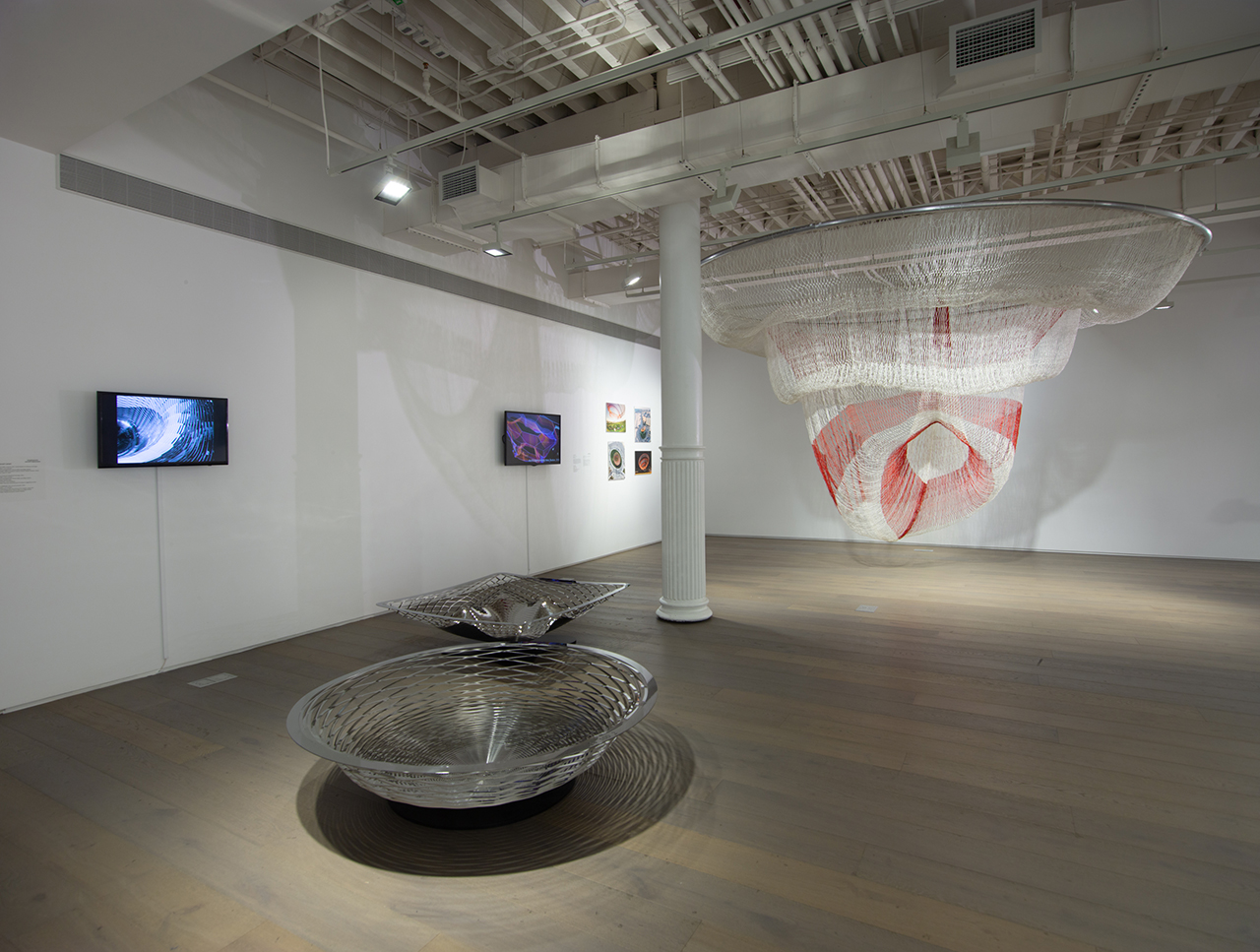From Forces to Forms gallery sculptures.