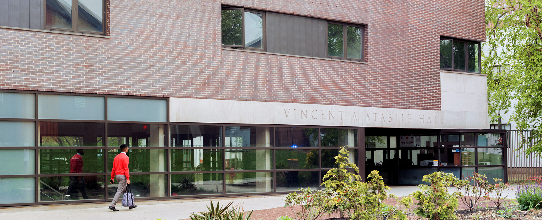 An image of the Vincent A. Stabile Hall's façade as a person walks across in front of it.