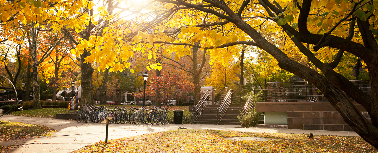 A photograph of campus in fall.