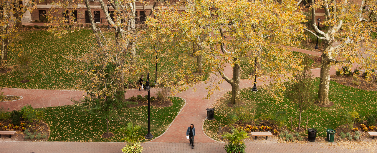 An aerial photograph of campus. A person is walking along the paths that cut through the grass and trees.