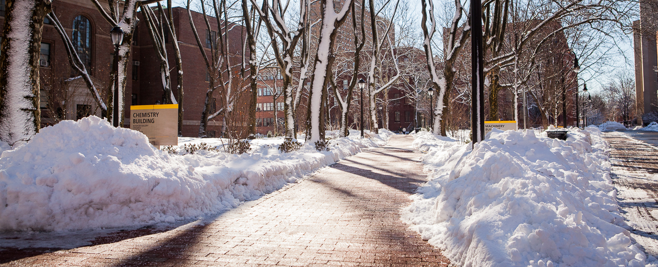 An image of a path covered in snow.