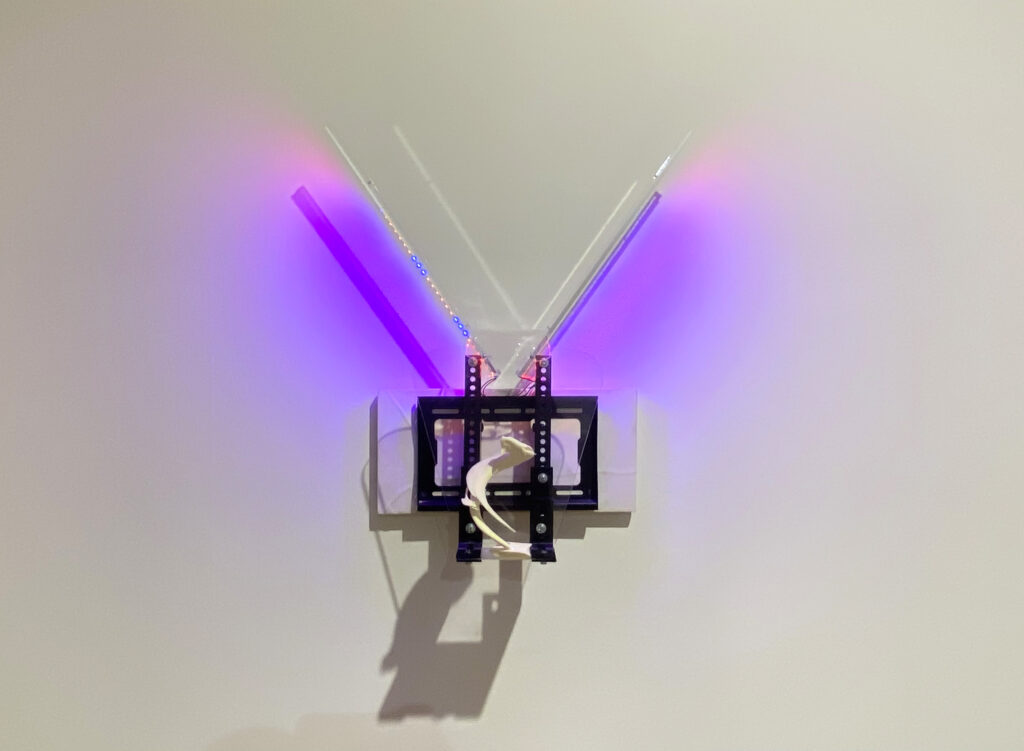 A digital art and sculpture mix media art piece with neon lights emanating from the top.