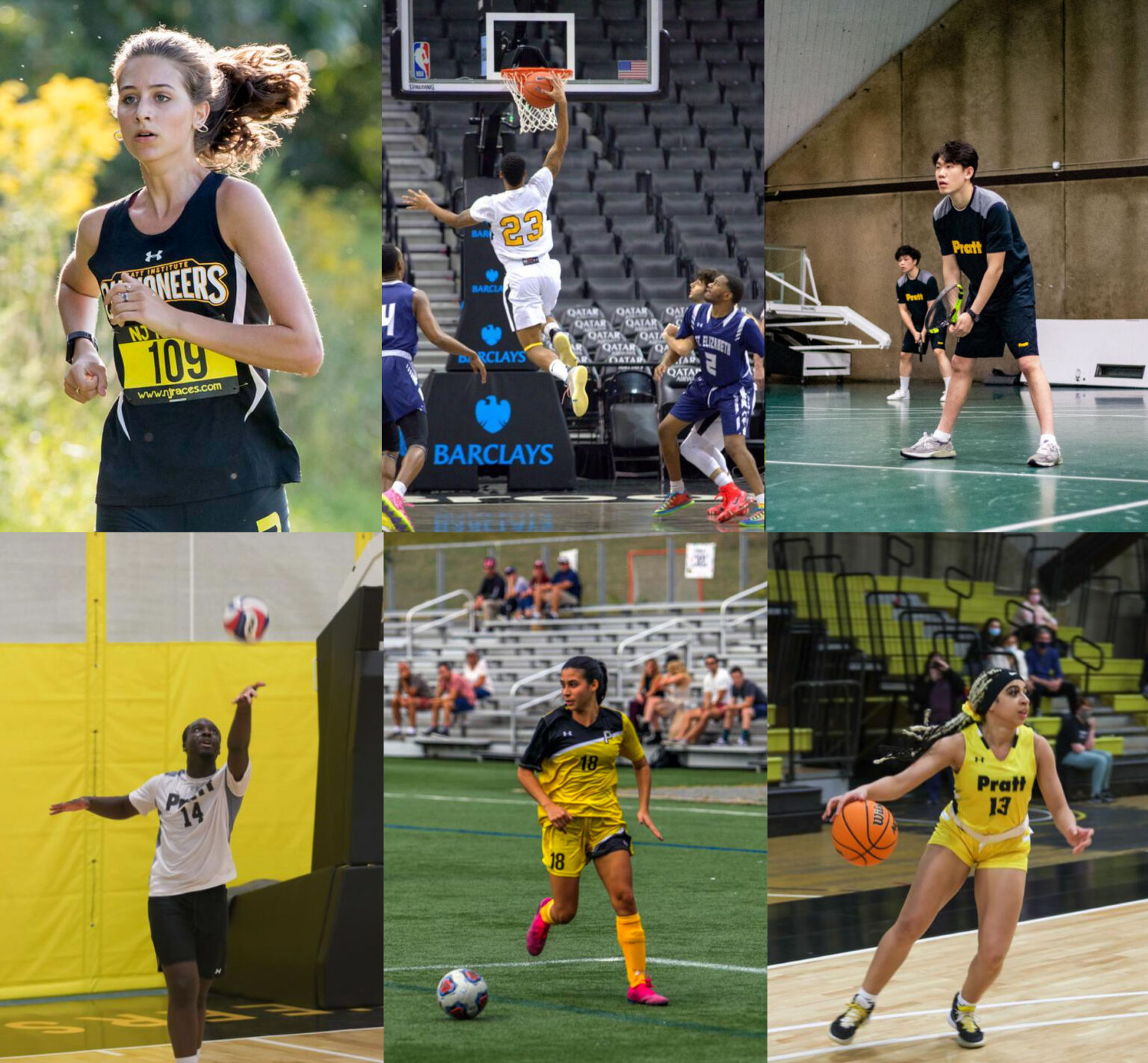 Pratt Awarded Full Membership in NCAA Division III Pratt Institute