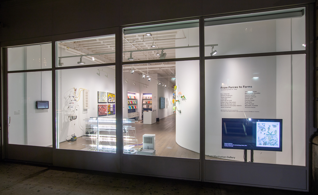 From Forces to Forms, installation view, photo by Jason Mandella Photography