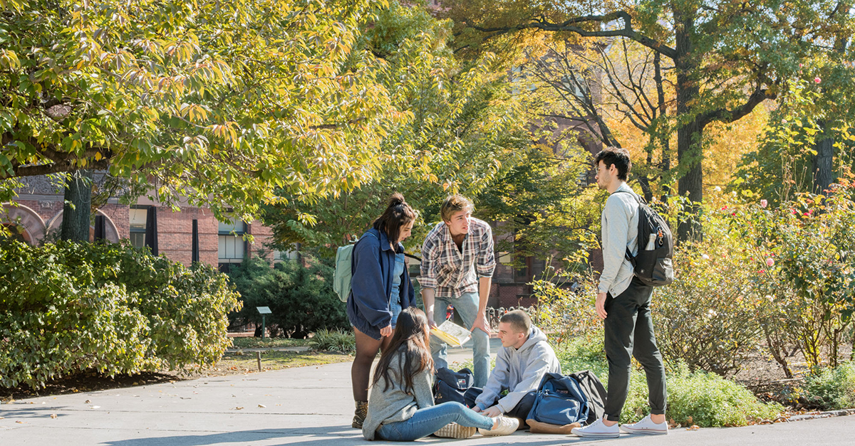 Five students discuss while sitting and standing on path within a park.