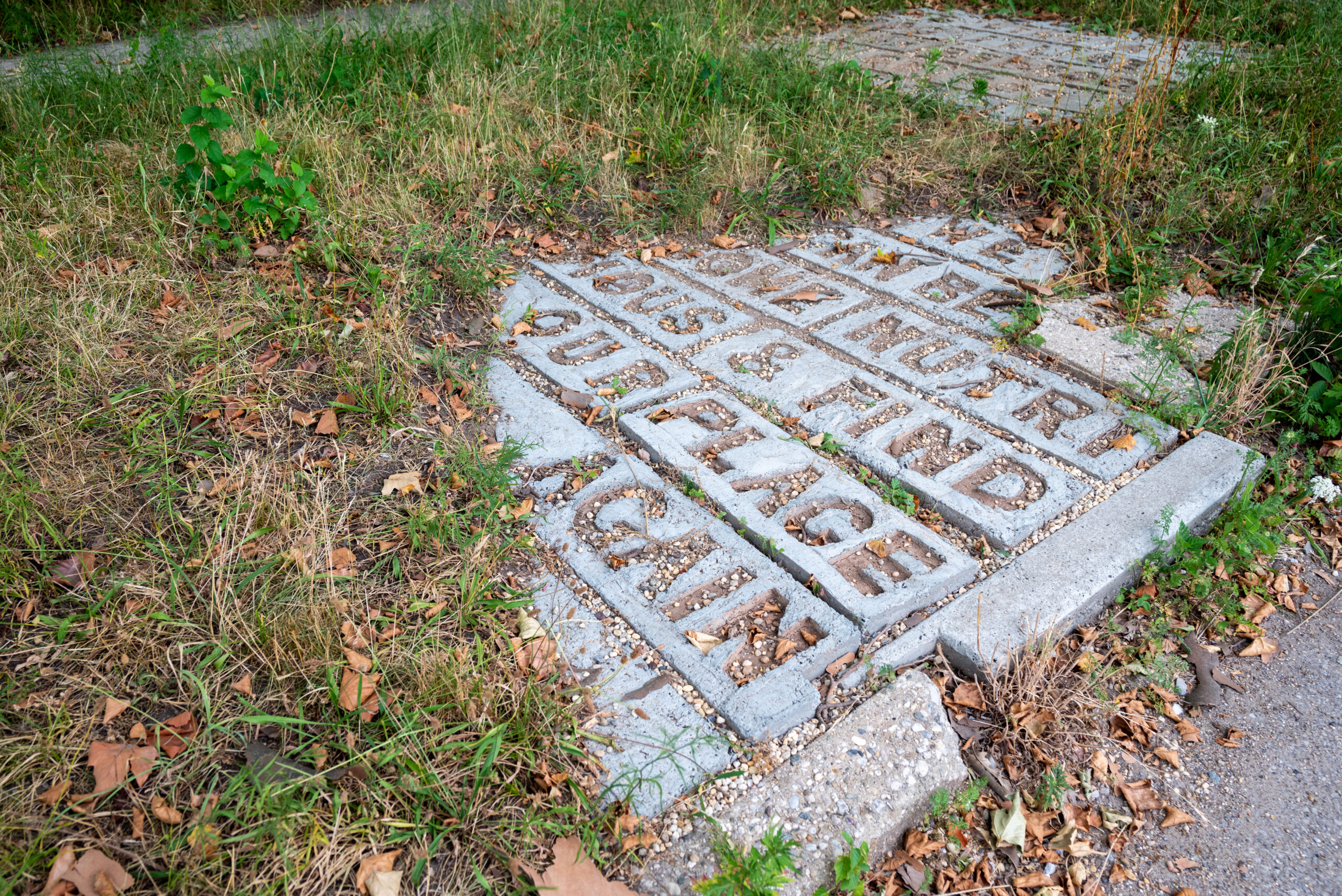 Stones placed within a curbside patch of earth among short green and brown plants read We Can Become Nutritious and Find Our Place Again