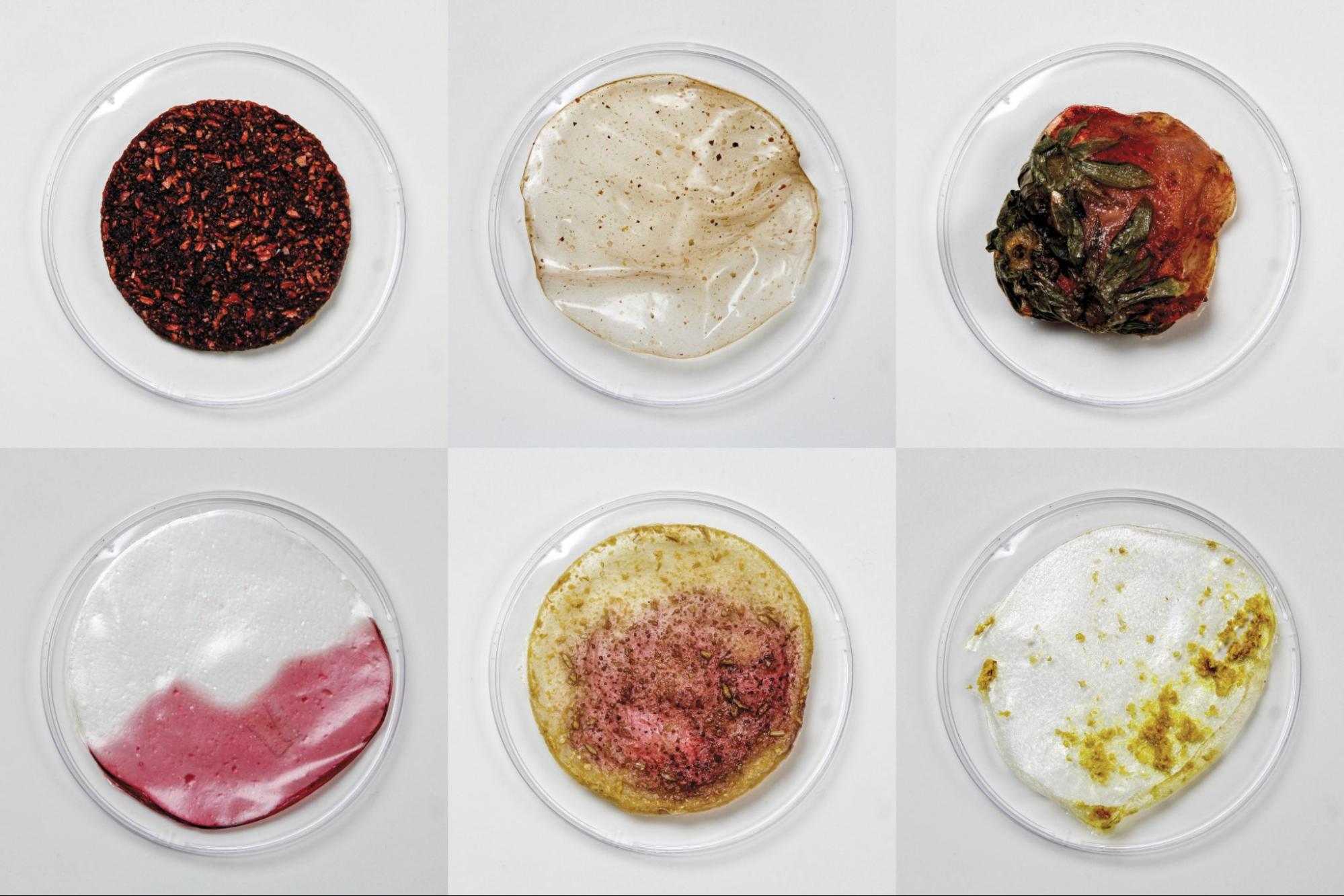 Grid of six petri dishes holding different filmy materials flecked with seeds, leaves, and yellow and purple pigment