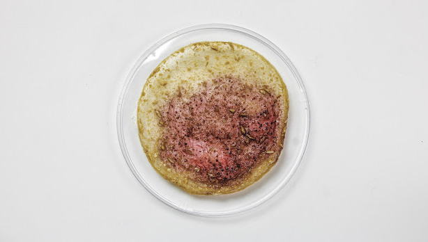 Petri dish with golden and pink film flecked with seedy bits