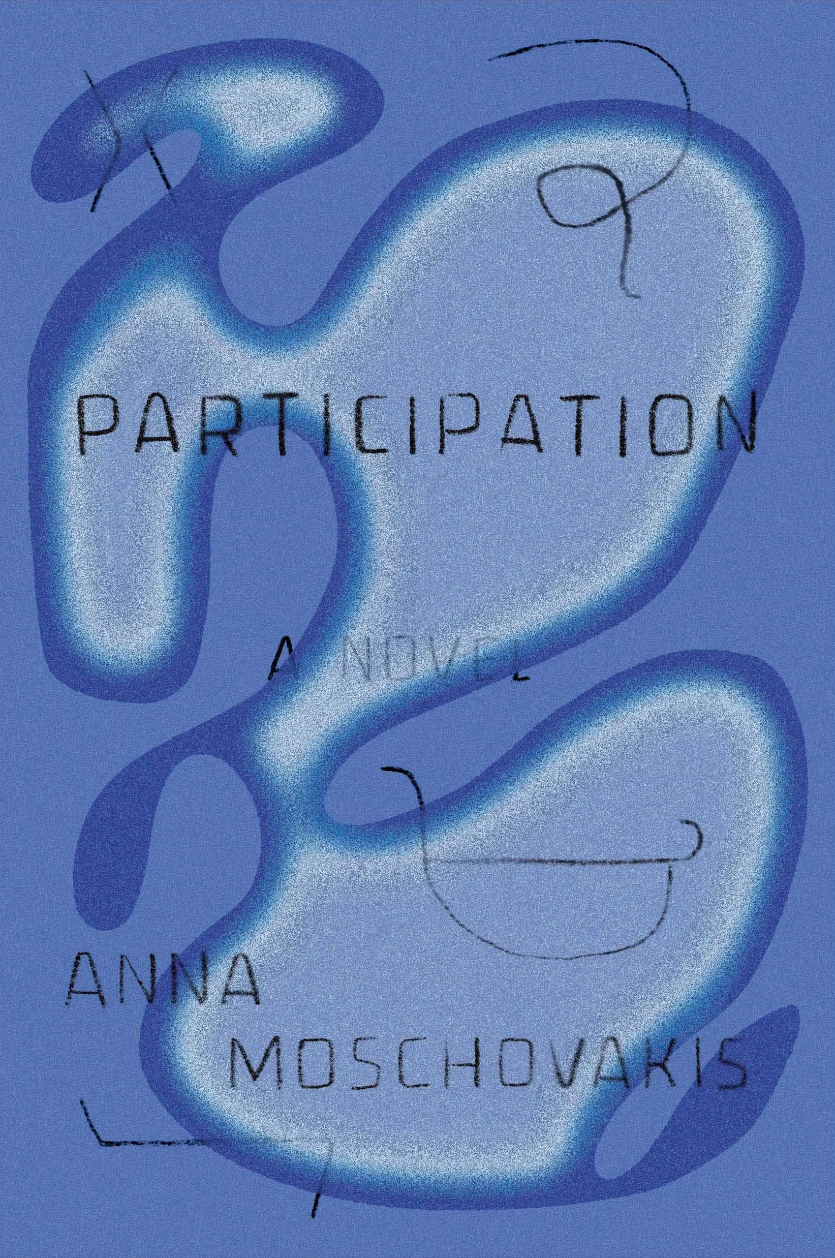 Book cover with text reading Participation over abstract graphic in blue and indigo