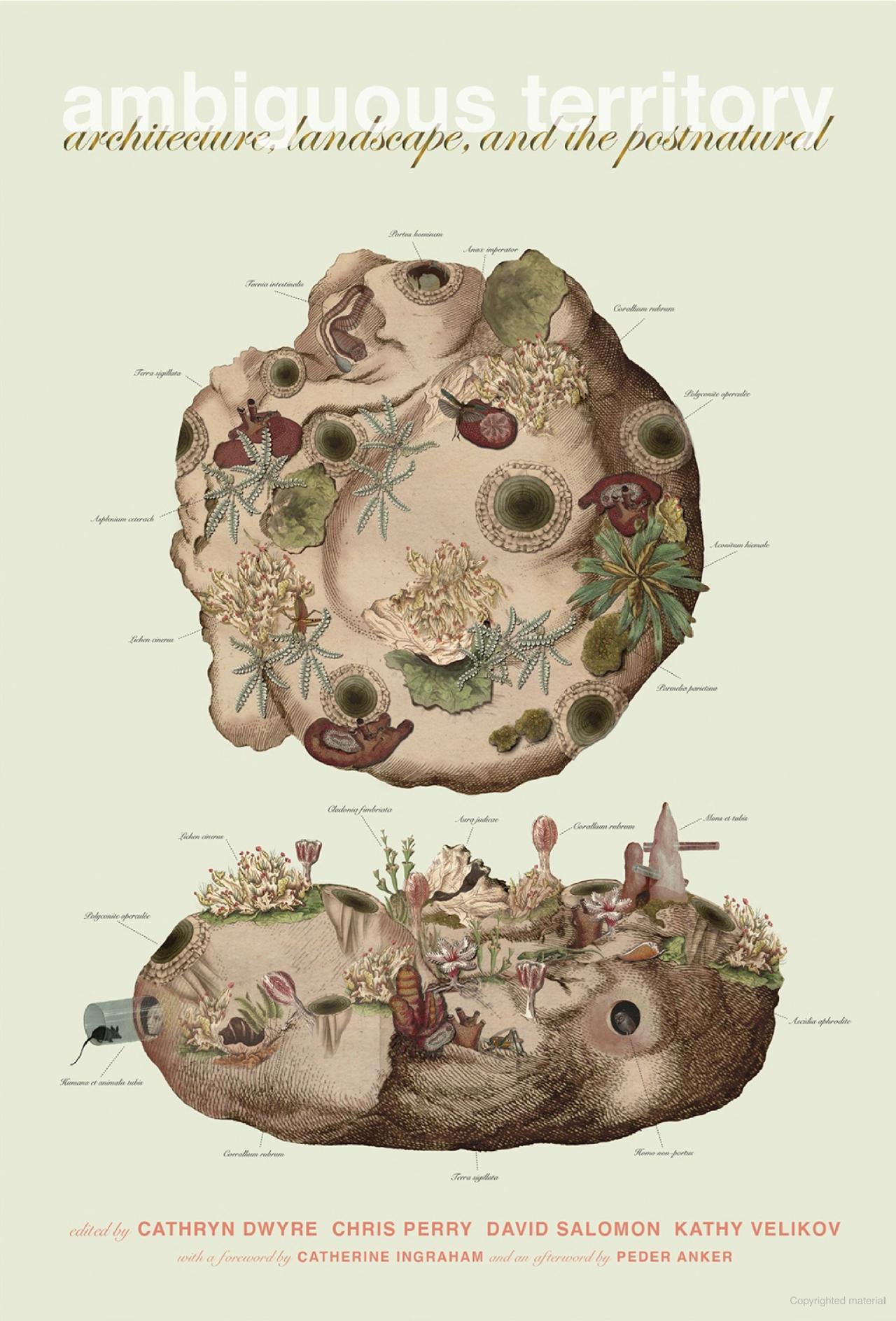 Book cover with scientific drawing of small landscape section with various flora and rodent in a tube