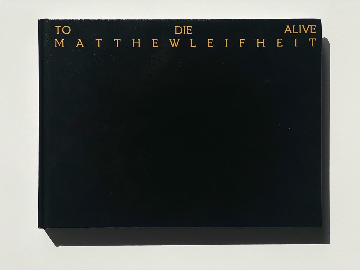 Black book with gold embossed text in all caps running across the top reading To Die Alive Matthew Leifheit