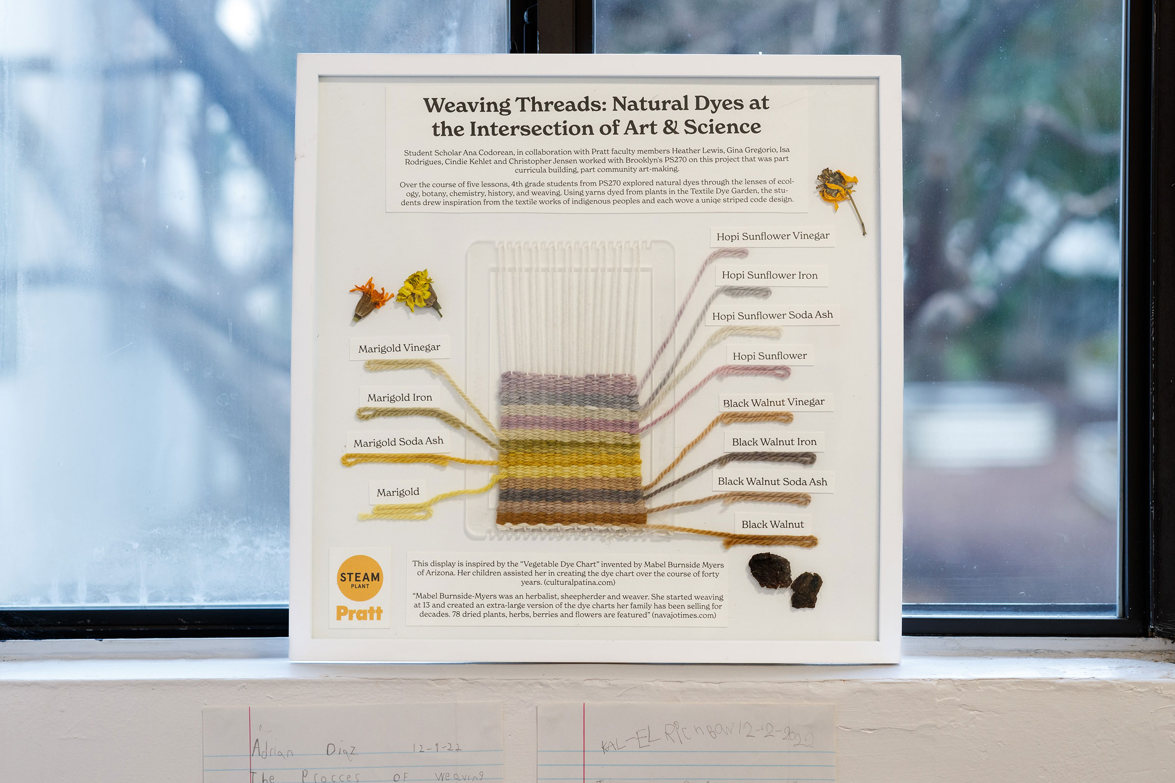 Work from “Weaving Threads: Natural Dyes at the Intersection of Art & Science” on view at Pratt (photo by Ron Hester Photography)