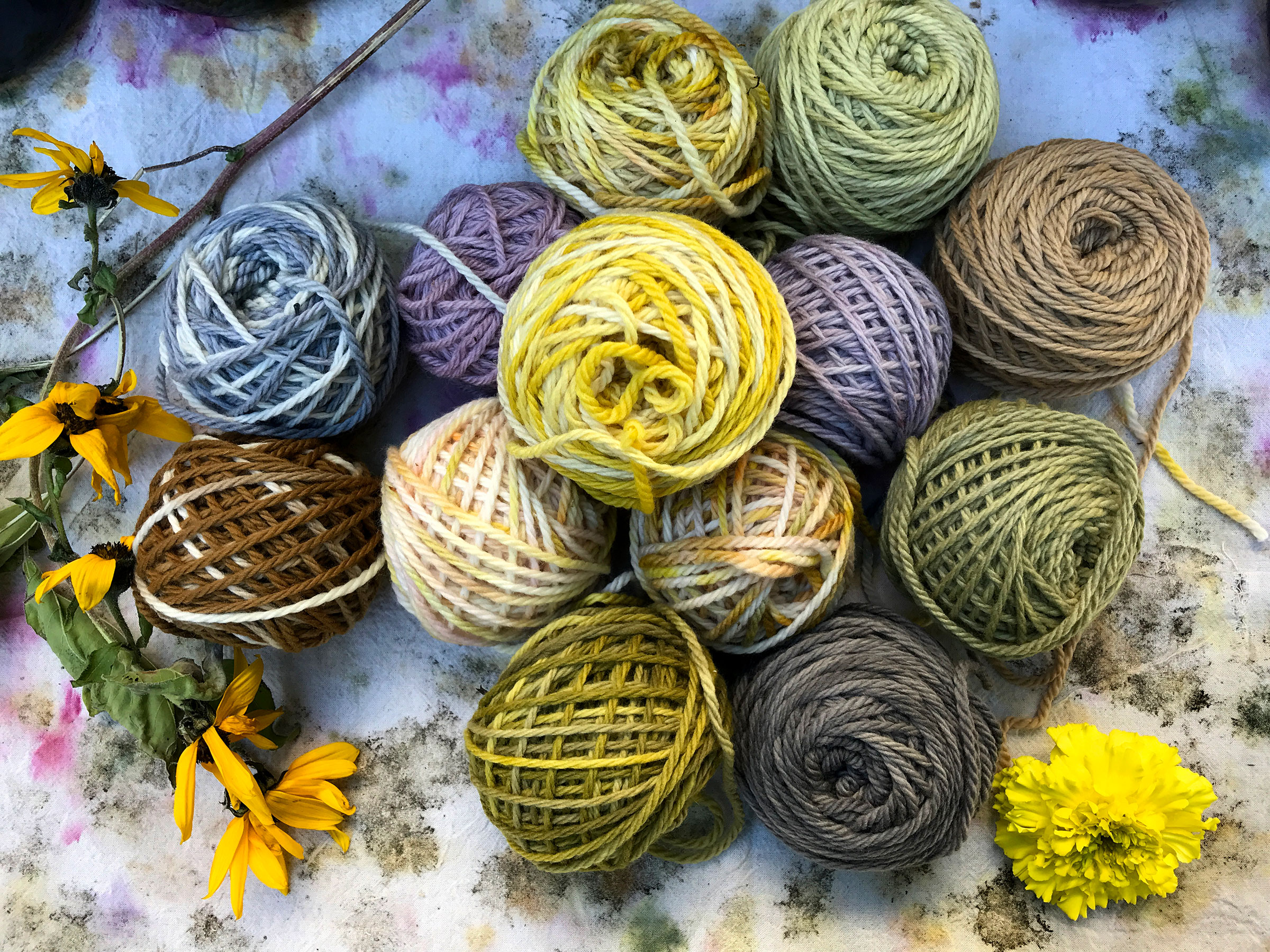 Wool yarns colored with natural dye concentrates by the PS270 students. The yarns were donated by Quince & Co yarn company, facilitated by Elise Pelletier, visiting assistant professor of fashion design (courtesy Ana Codorean)