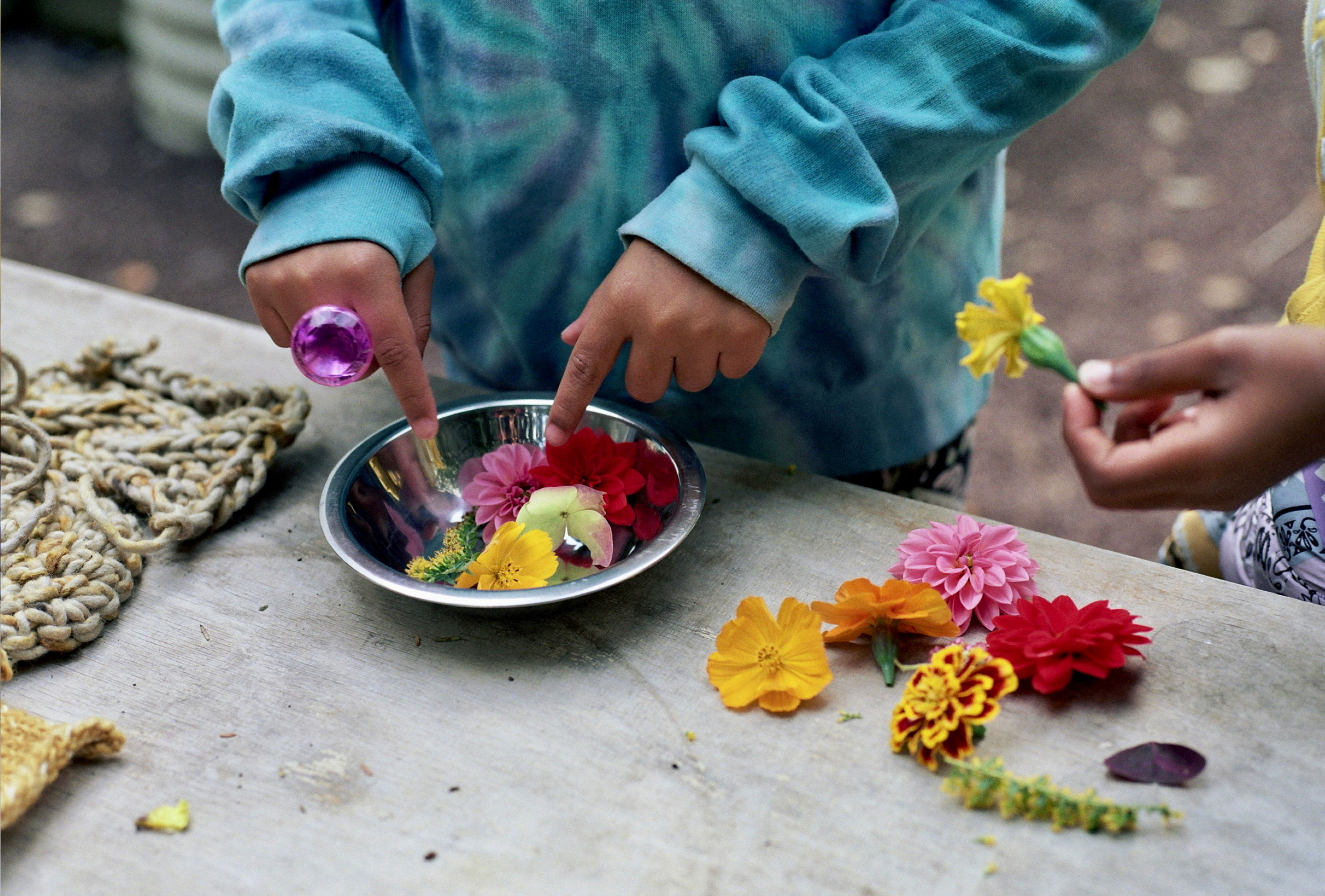 PS270 students experimenting with natural dyes in Pratt’s Textile Dye Garden (photo by Nur Guzeldere)