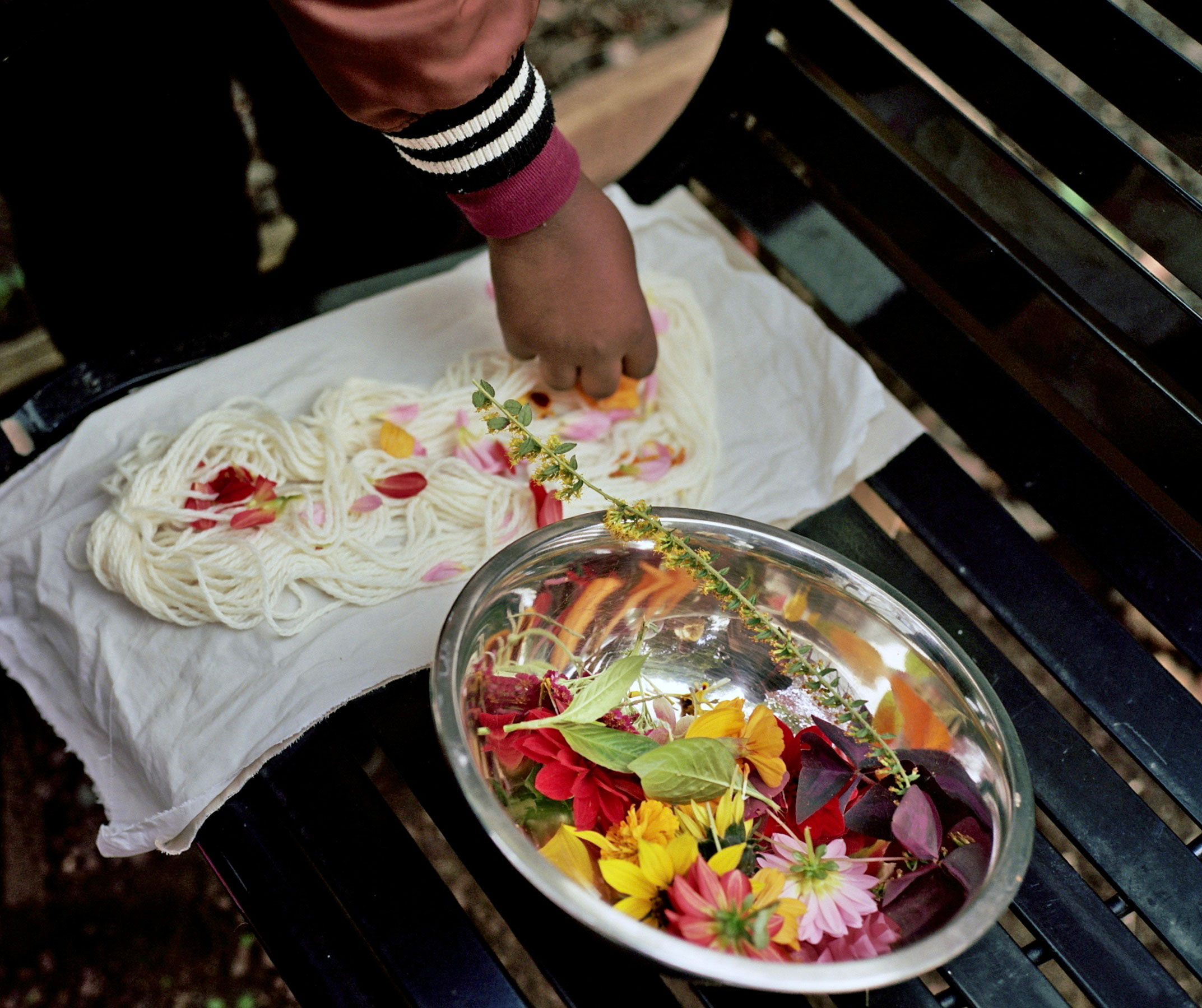 Bundle dyeing yarn in the Textile Dye Garden (photo by Nur Guzeldere)