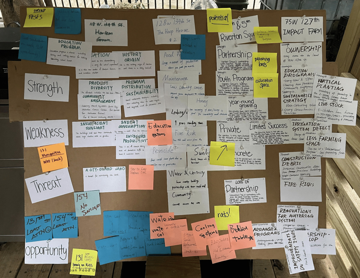 Brainstorming session with Pratt students and Harlem Grown (photo by Charles Newman)
