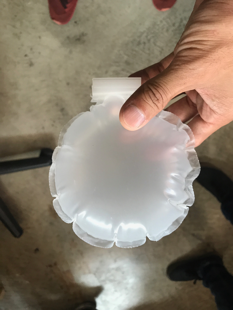 inflatable seashell shappe object