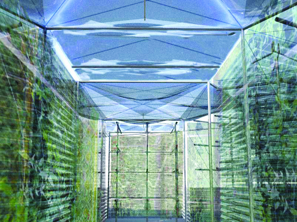 Work by William Katavolos