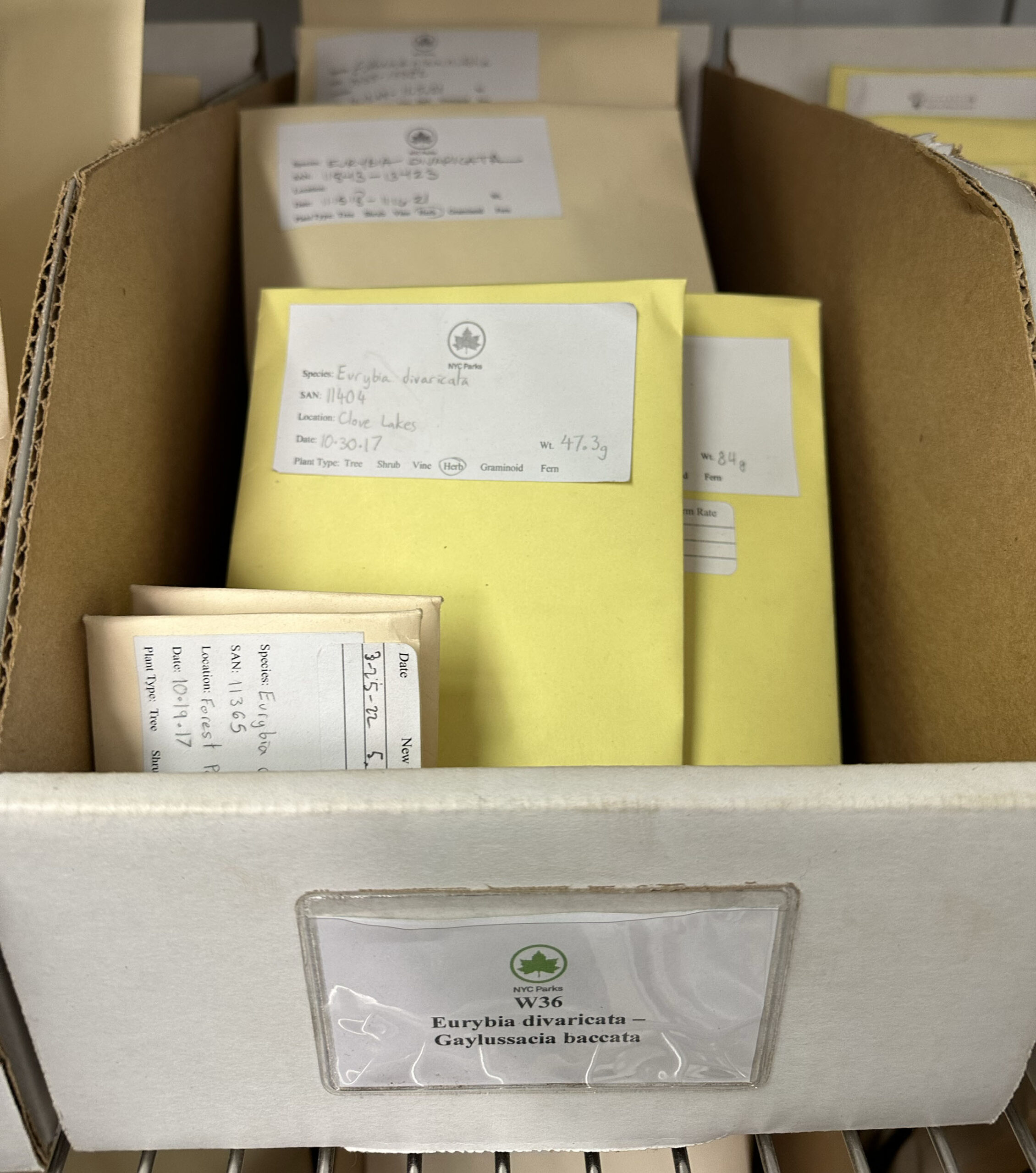 Greenbelt Native Plant Center seed samples at the temperature and humidity controlled seed bank.