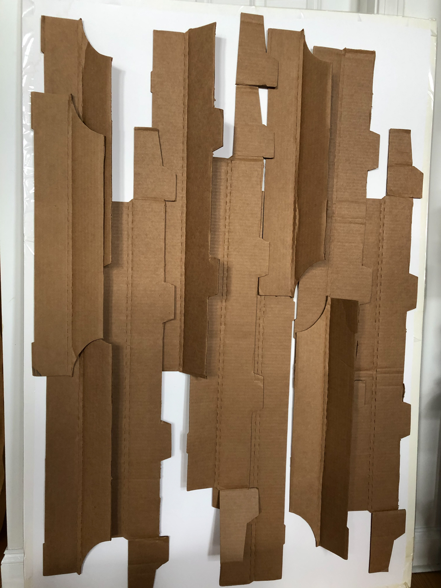 strips of cardboard arranged in irregular columns in front of a white wall