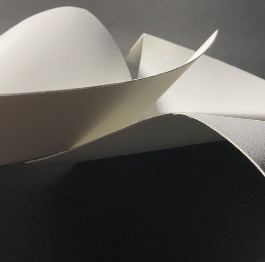 a close-up image of fruit bowls composed from curved planes