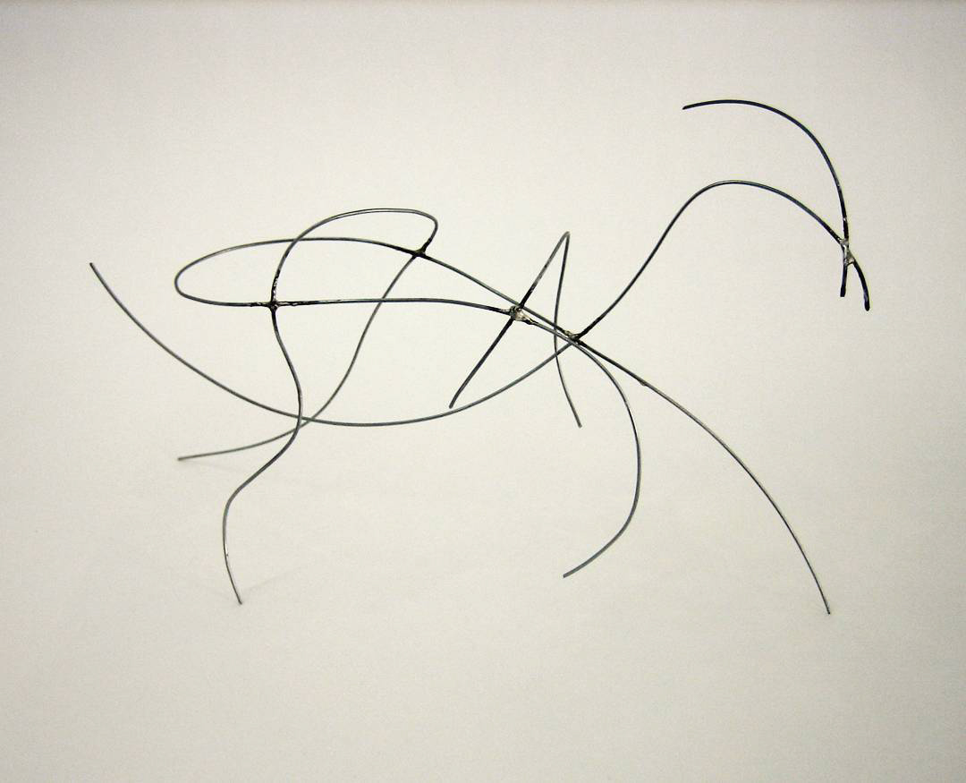 the form of a horse made entirely of wire