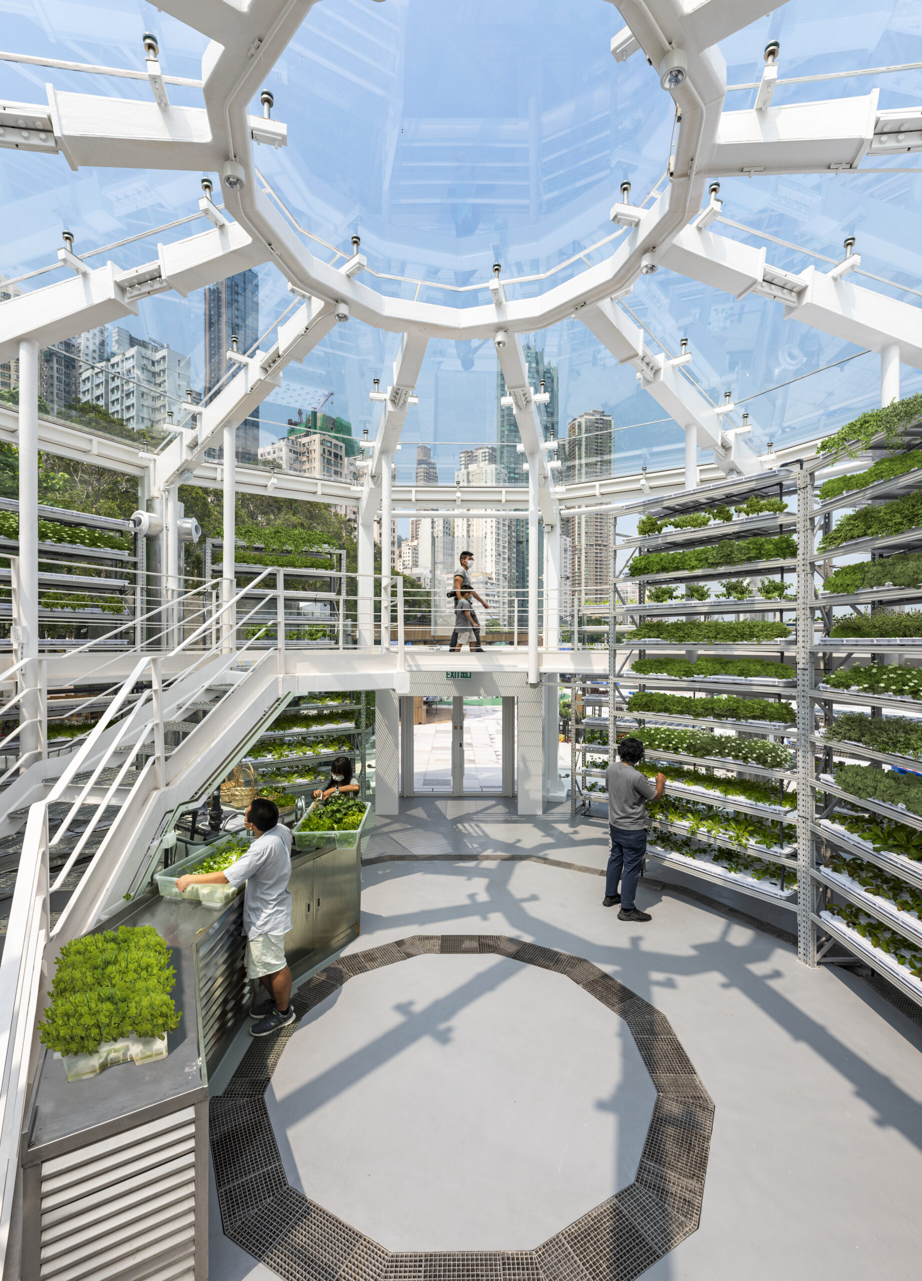 A view from the interior of an all-glass farm, with a view of the city through the glass. Inside, there are three people tending to the rows of flowers being grown, and an adult walking with a child on a elevated platform.