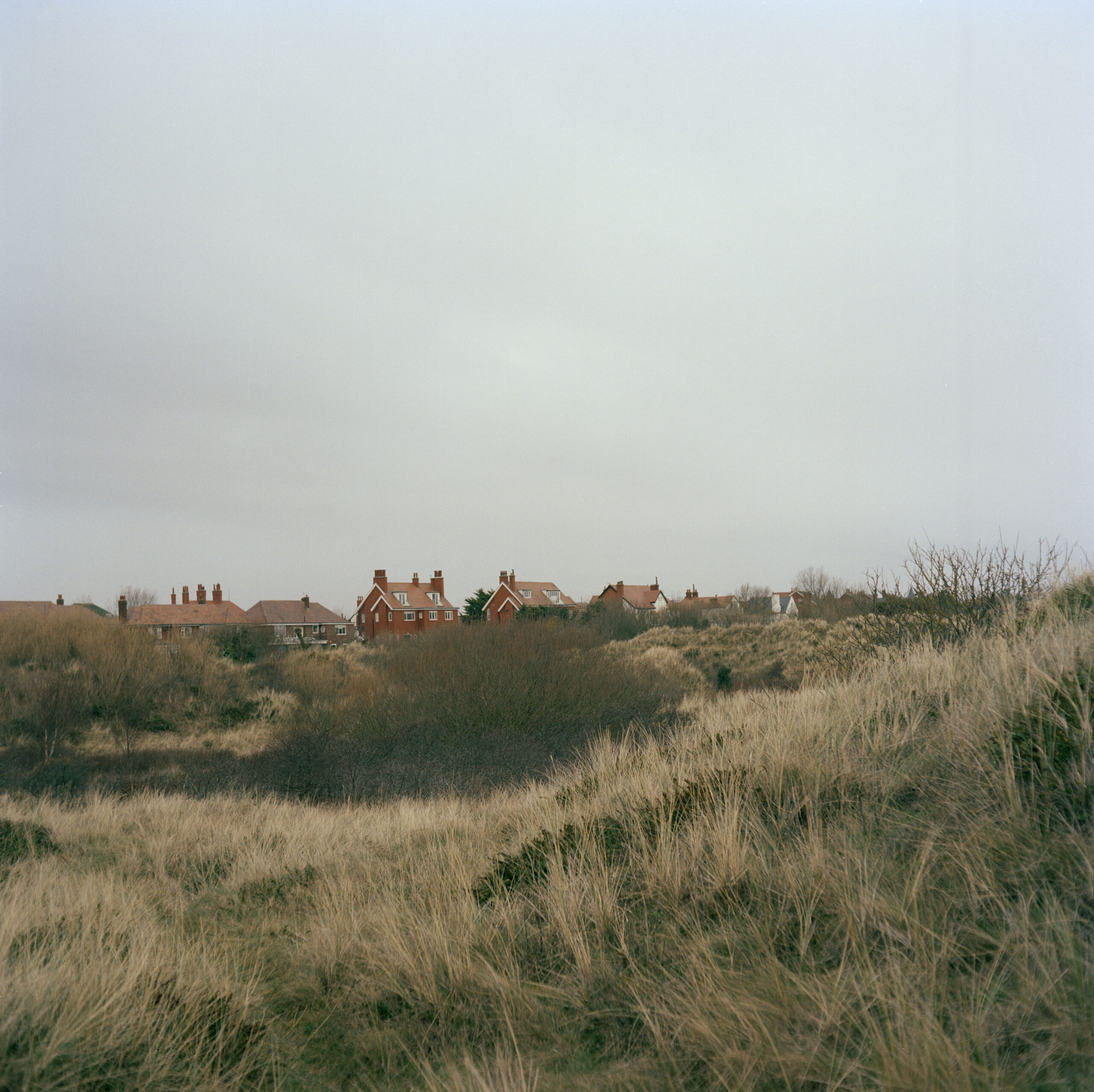 Red houses and their chimneys can be seen in the distance. Between the view and the homes are rolling hills with tall grass and brush. The sky is overcast.