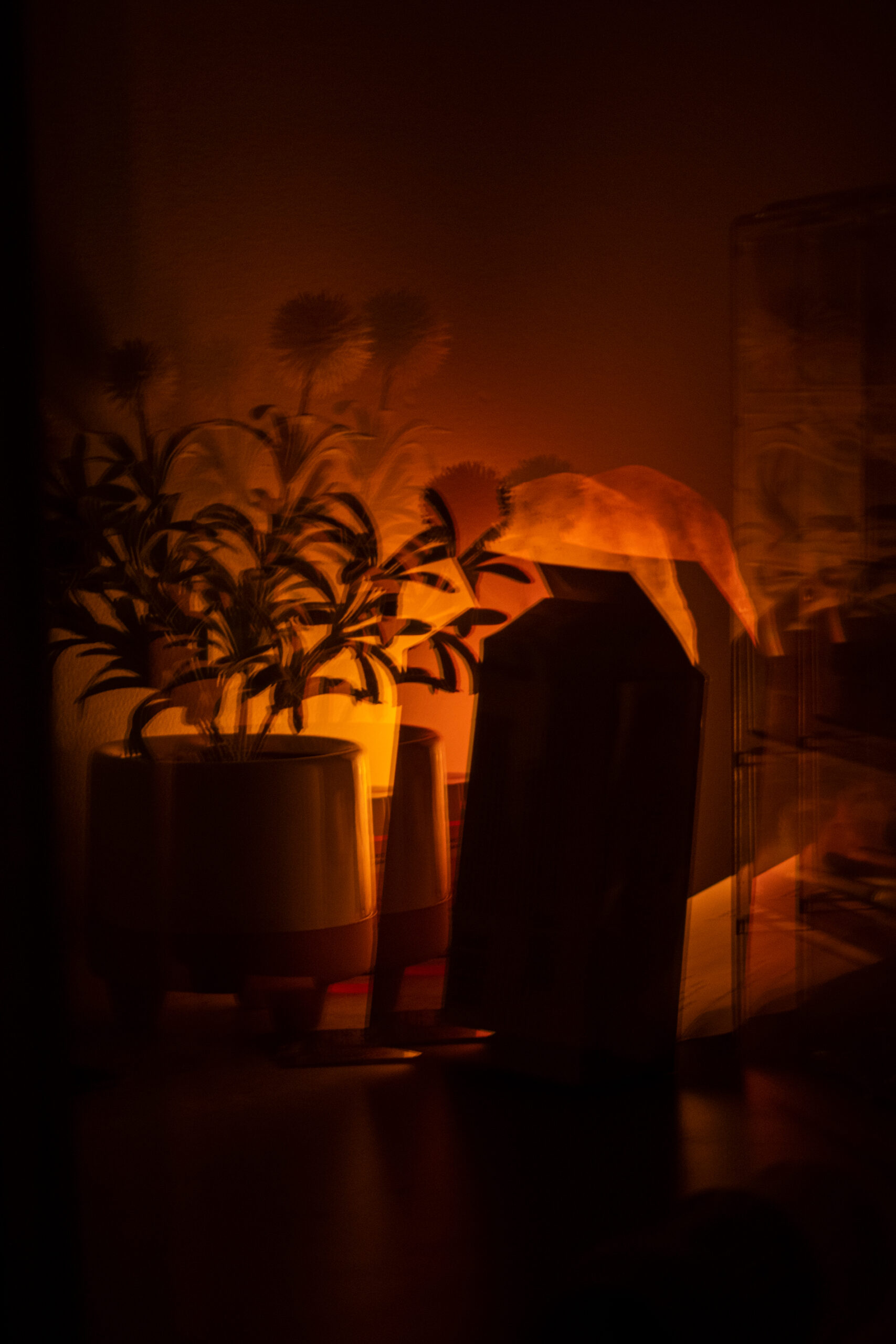 The image depicts a dark, distorted view of a flower pot beside a reddish-orange light.
