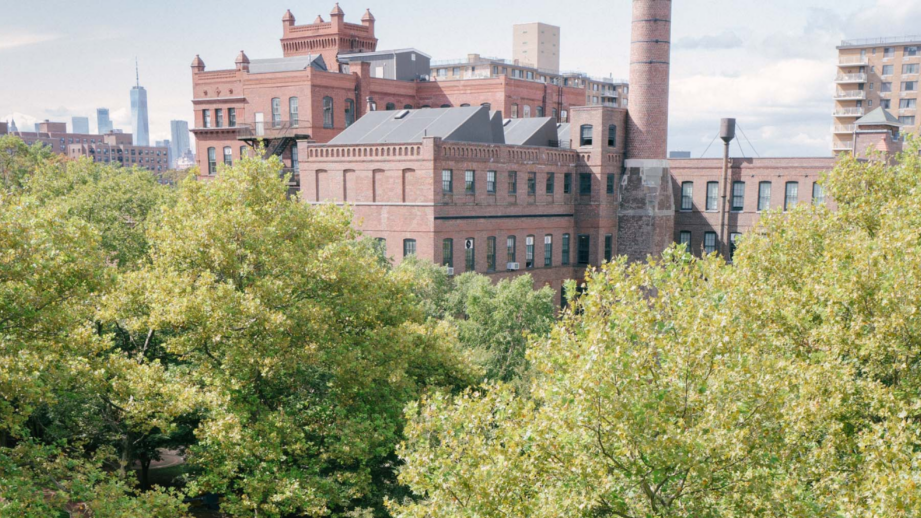aerial shot of pratt campus