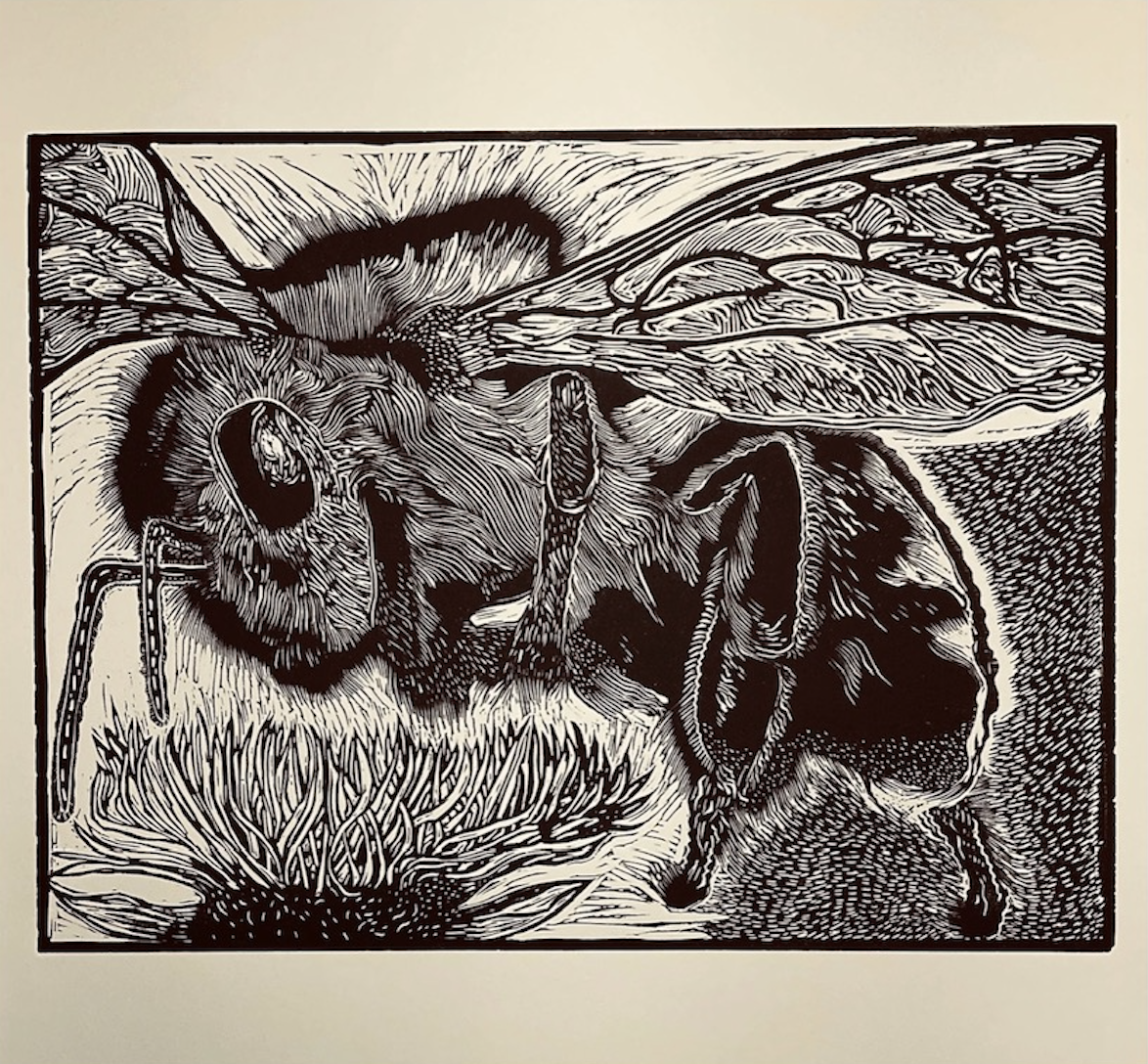 A detailed sketch of a bee.