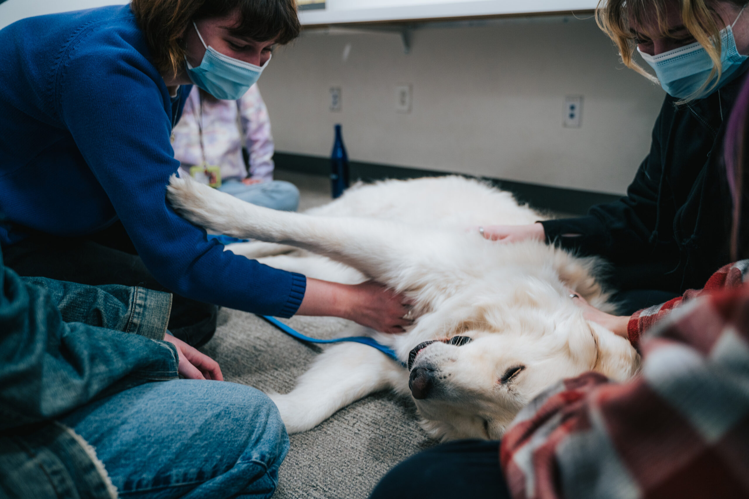 Pet therapy dog enjoying the attention. Photo by Tejas Setlur, BFA Film '26.