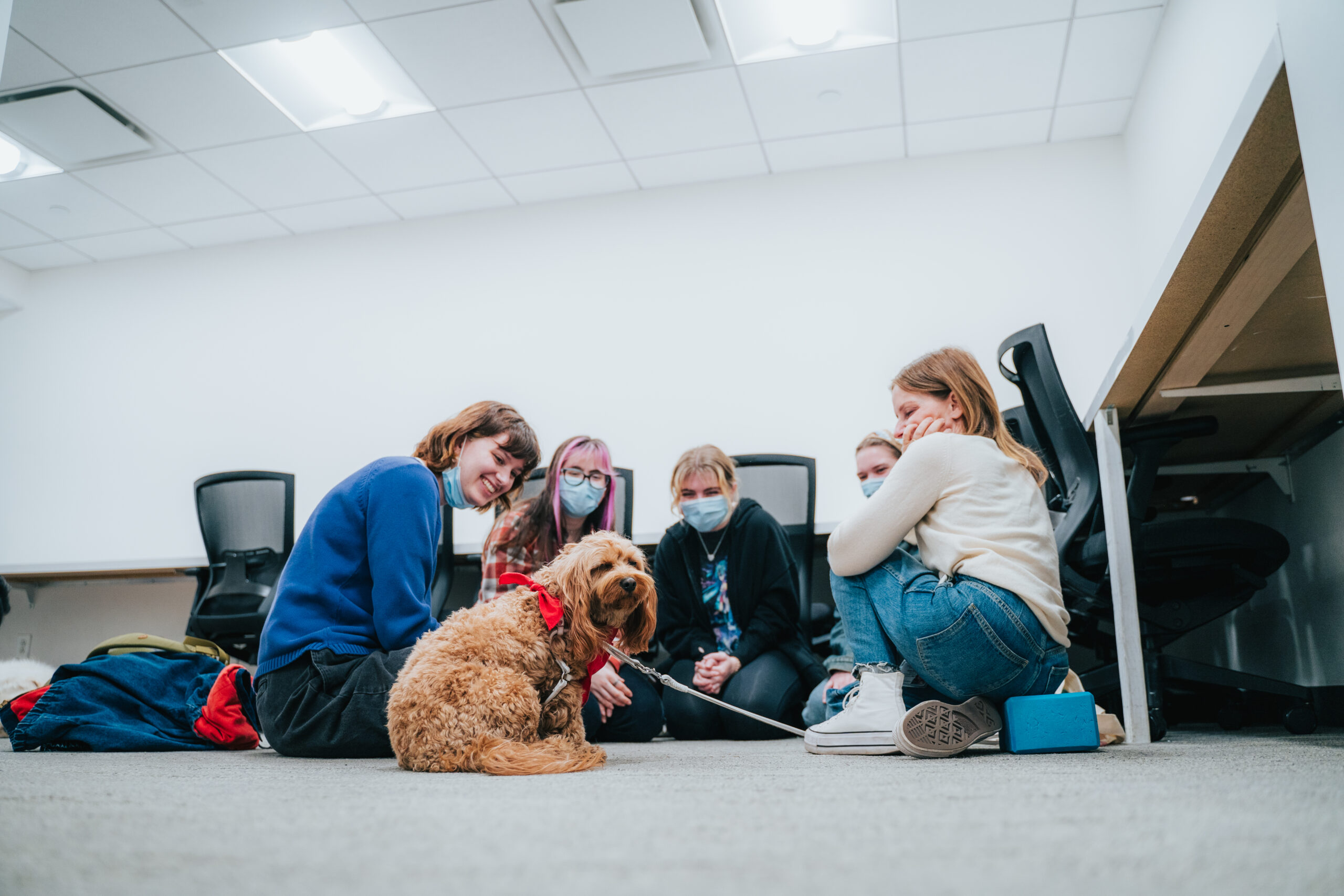 Students spending time with a pet therapy dog. Photo by Tejas Setlur, BFA Film '26.