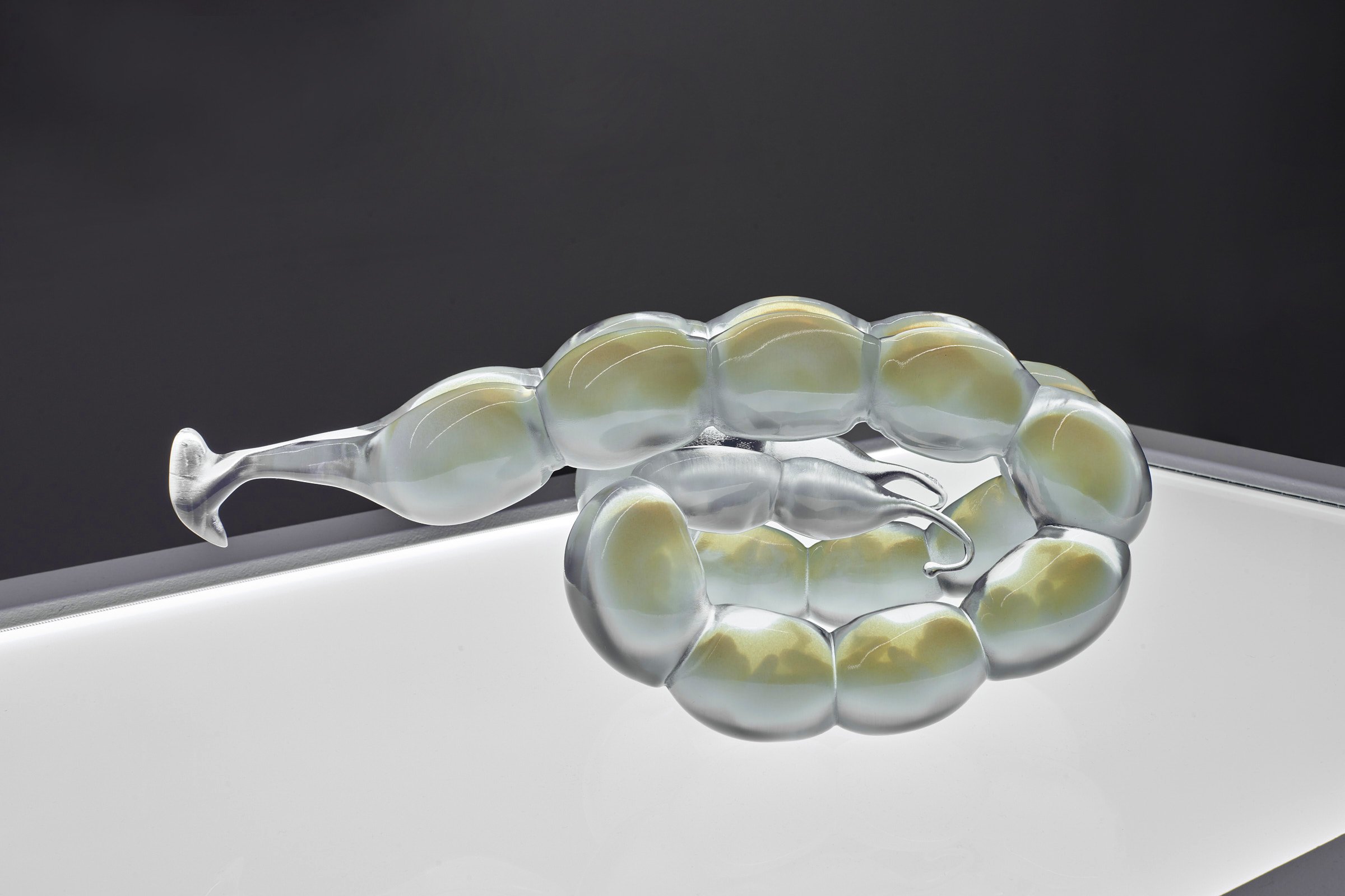 Image of a glass sculpture called 'The Surrogacy' by Ani Liu