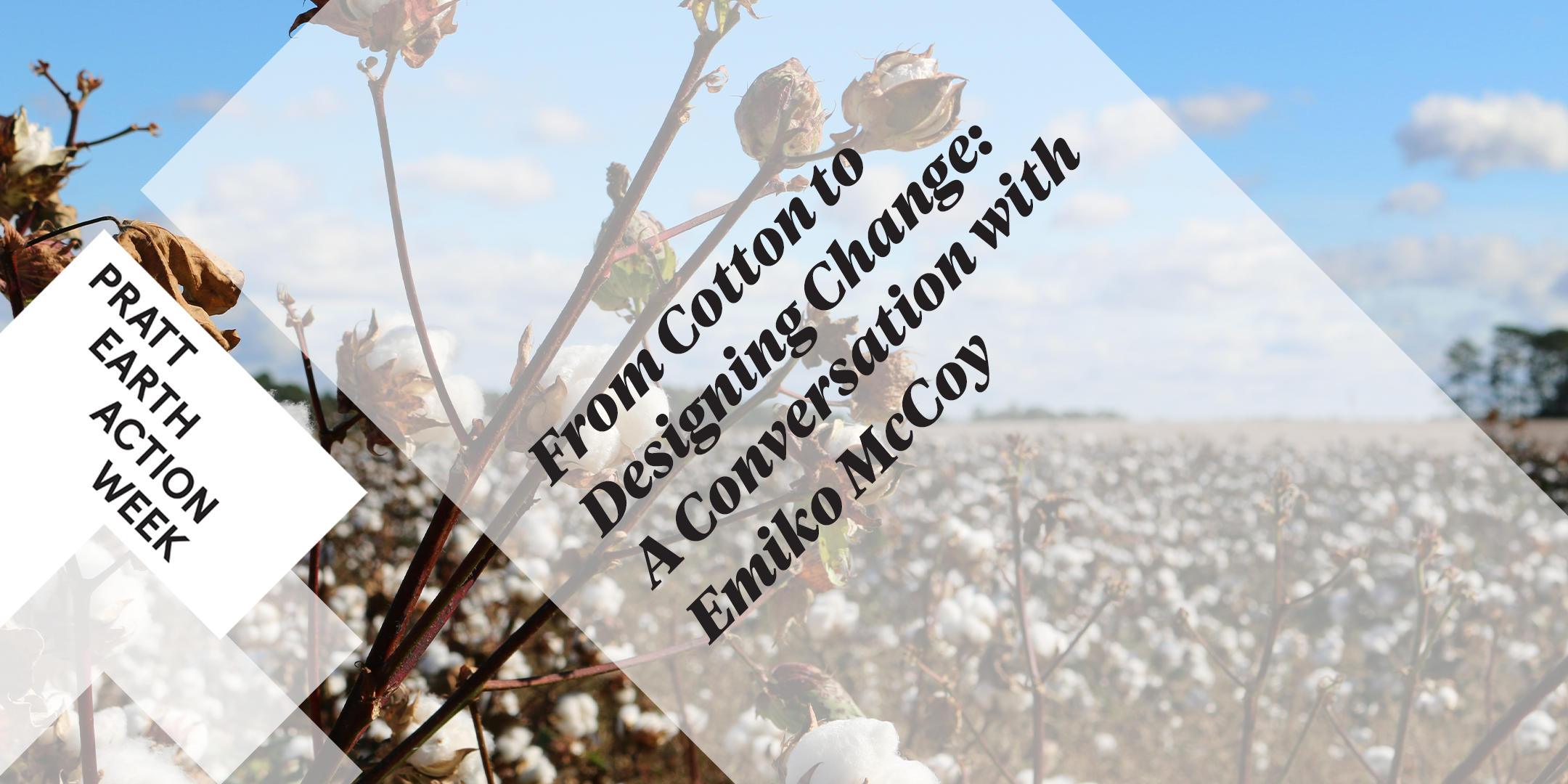 Image of a cotton field with the title