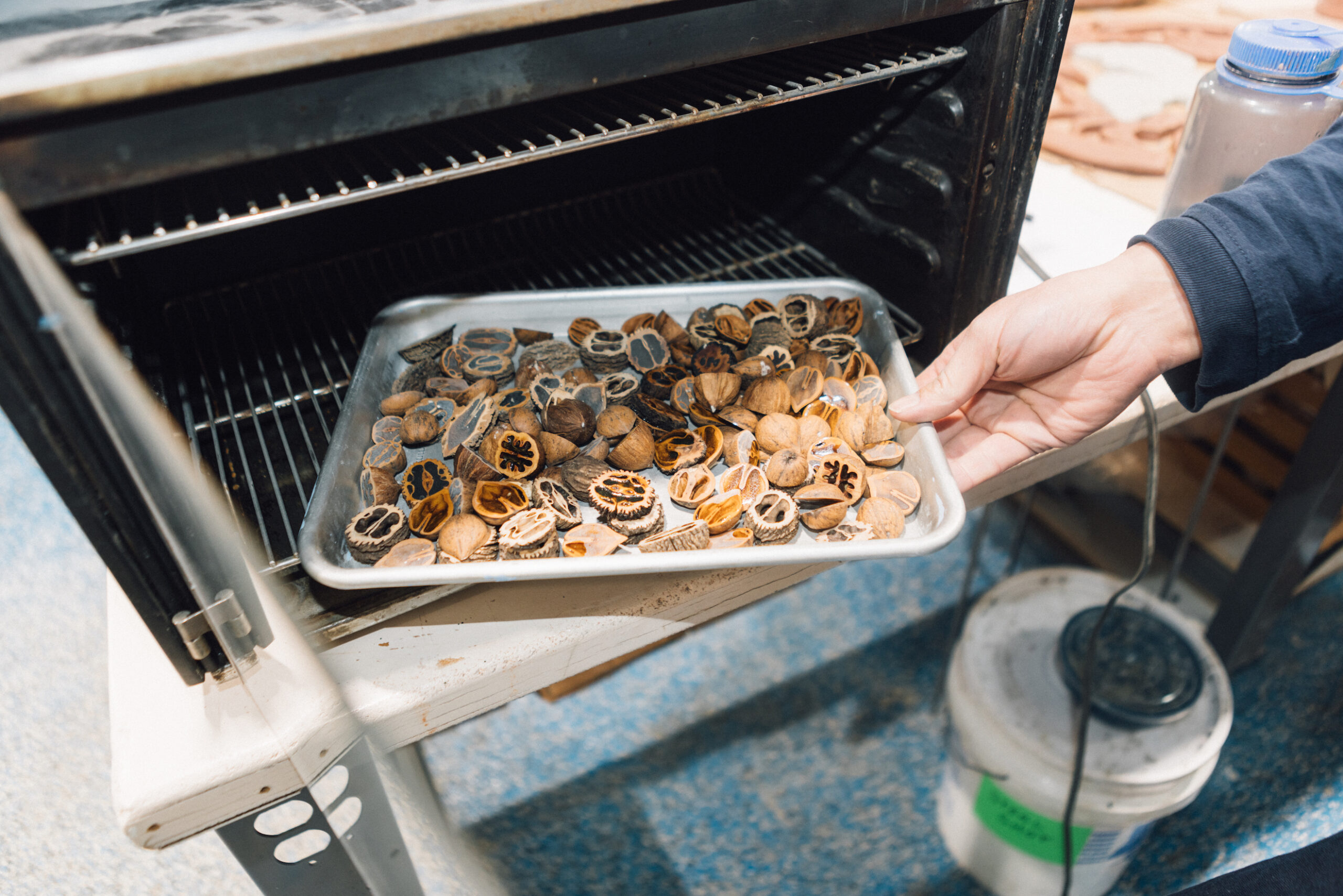 A jellyroll pan filled with walnut husks