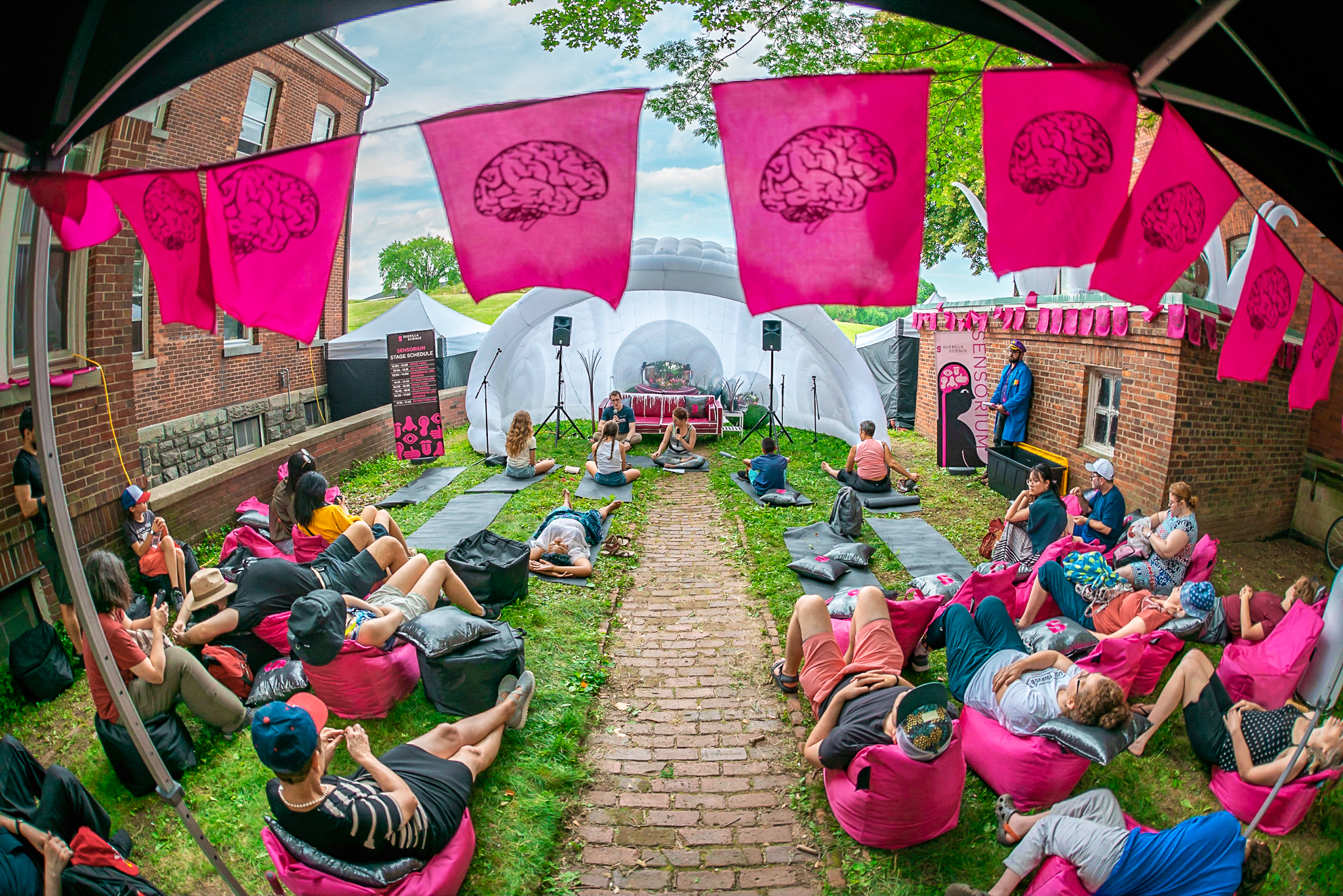 The Sensorium, a collection of installations and activities on Governors Island created by artists and scientists, curated by Rosin. The installations and activities were designed to appeal to attendees’ artistic identities, while supporting STEM learning.