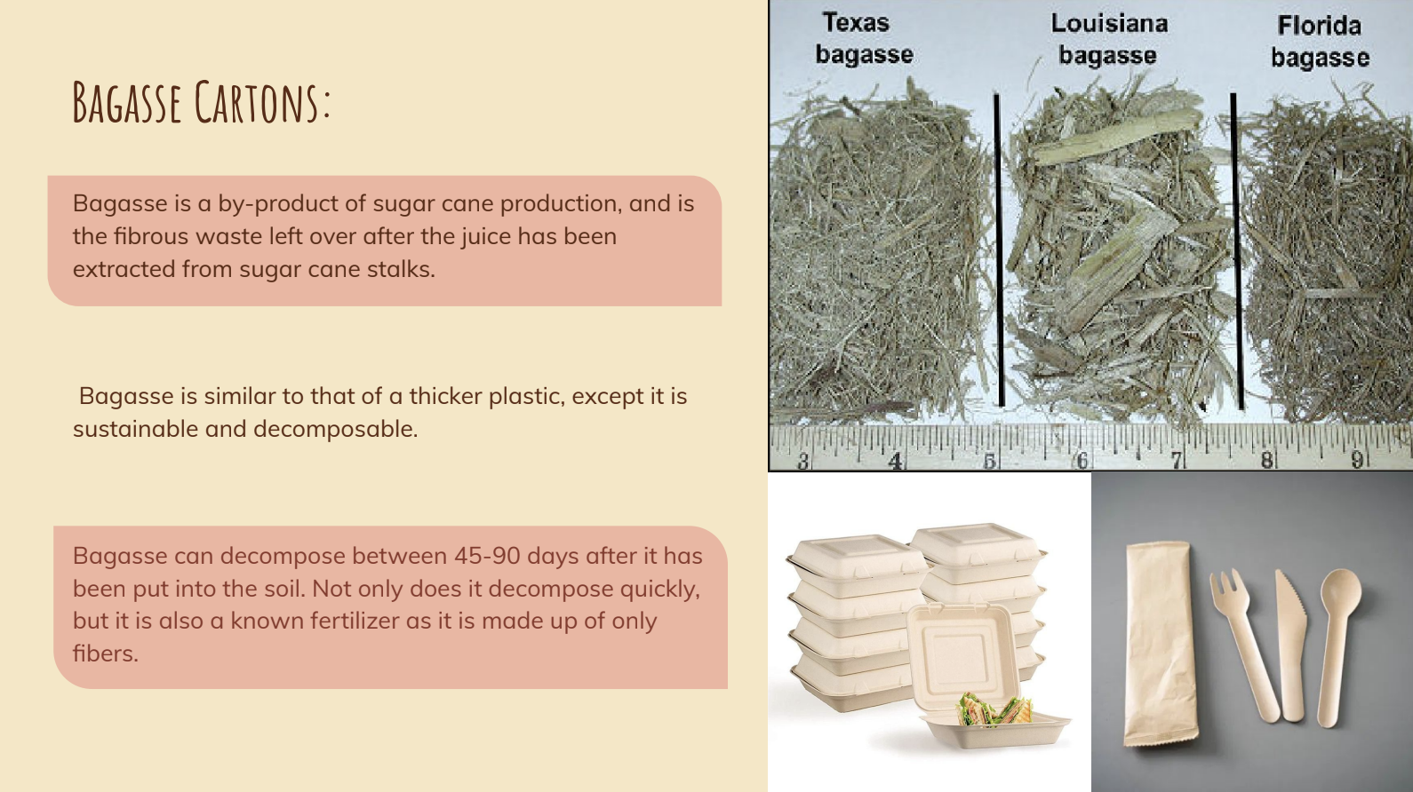 An excerpt from a presentation describing the material Bagasse and why it's a sustainable packaging alternative; images of bagasse as a raw material; renderings of produce packaging made from bagasse.