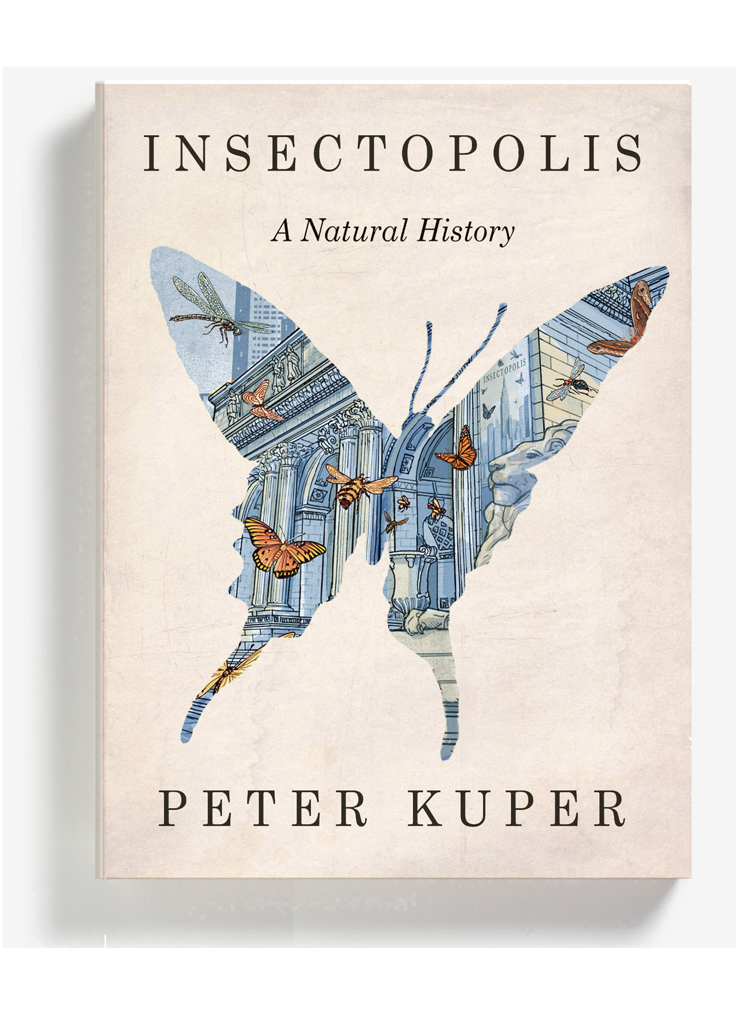 Textured off-white book cover set against a white backdrop, which depicts a butterfly shaped cutout, where inside, a blue-toned illustrated museum exterior and orange flying winged insects in the air are visible. Text at the top reads “INSECTOPOLIS: A Natural History”; text on the bottom reads “PETER KUPER”.