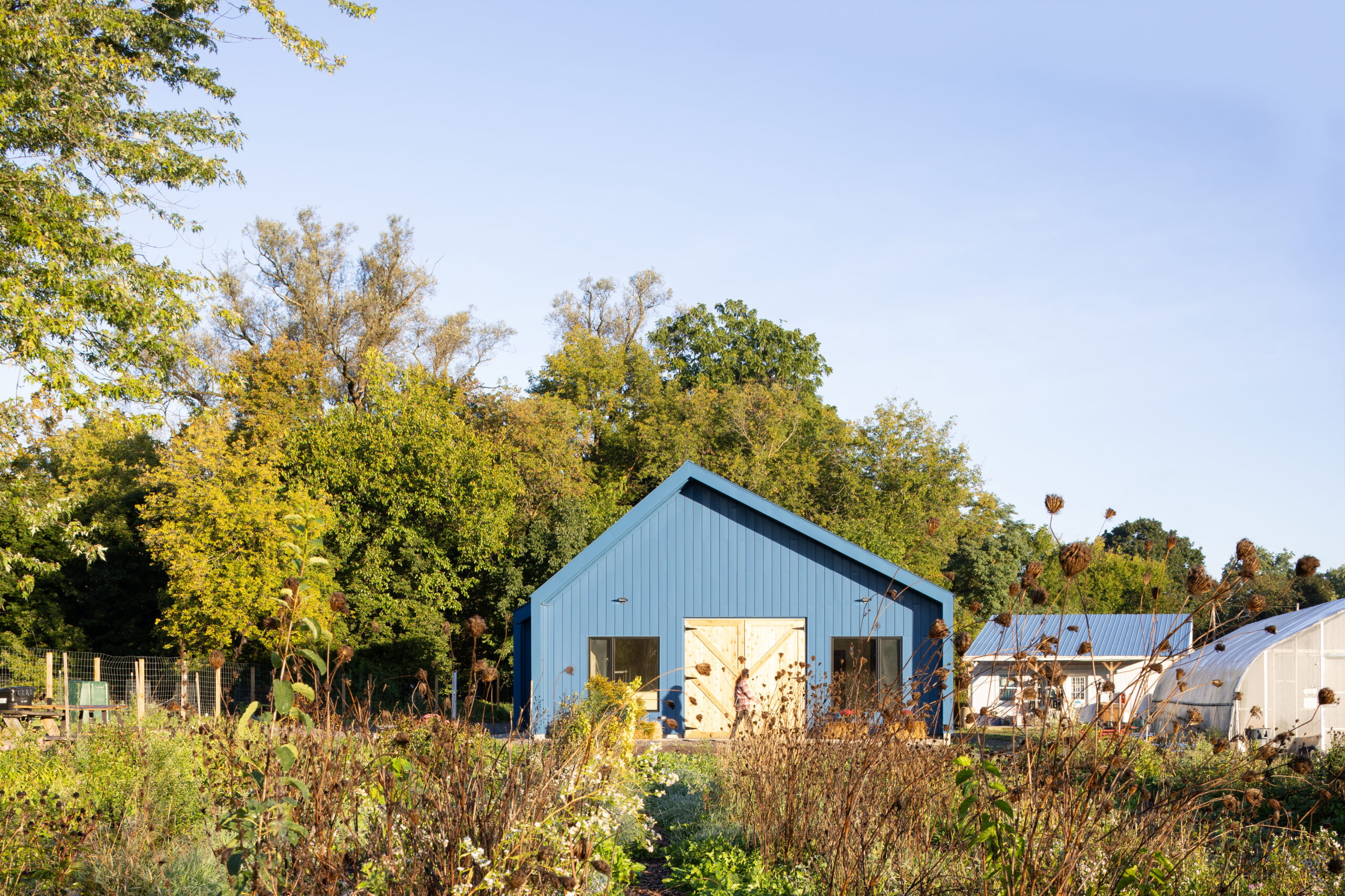 A small modern barn-like structure with a blue exterior and gabled roof set within a garden surrounded by wildflowers and greenery. The building features large barn doors and side windows, with another smaller blue building and a white greenhouse structure visible in the background.