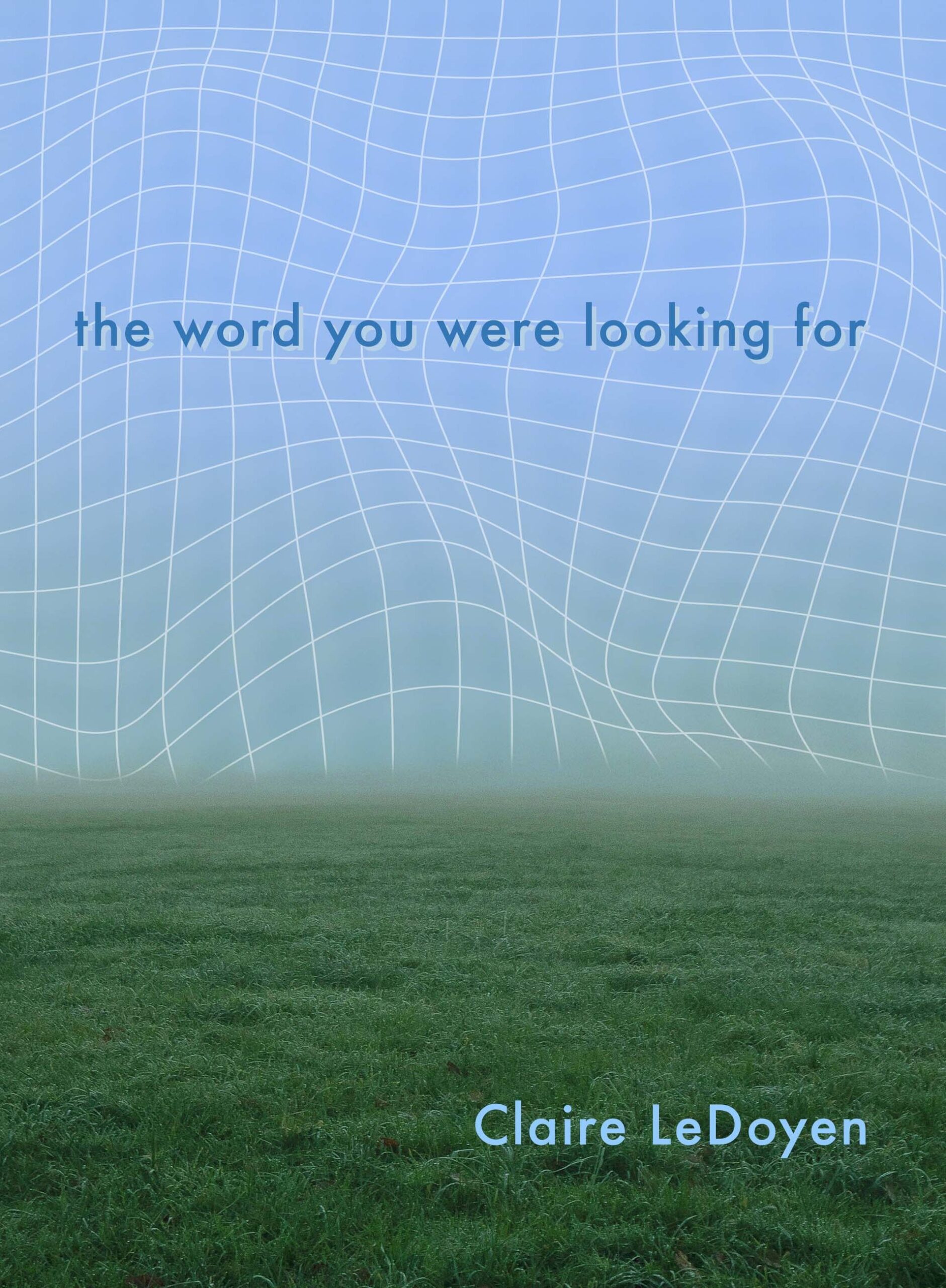 Book cover with title and author’s name in blue text, overlaid onto an image of a foggy, grassy field with a wavy grid superimposed onto the sky