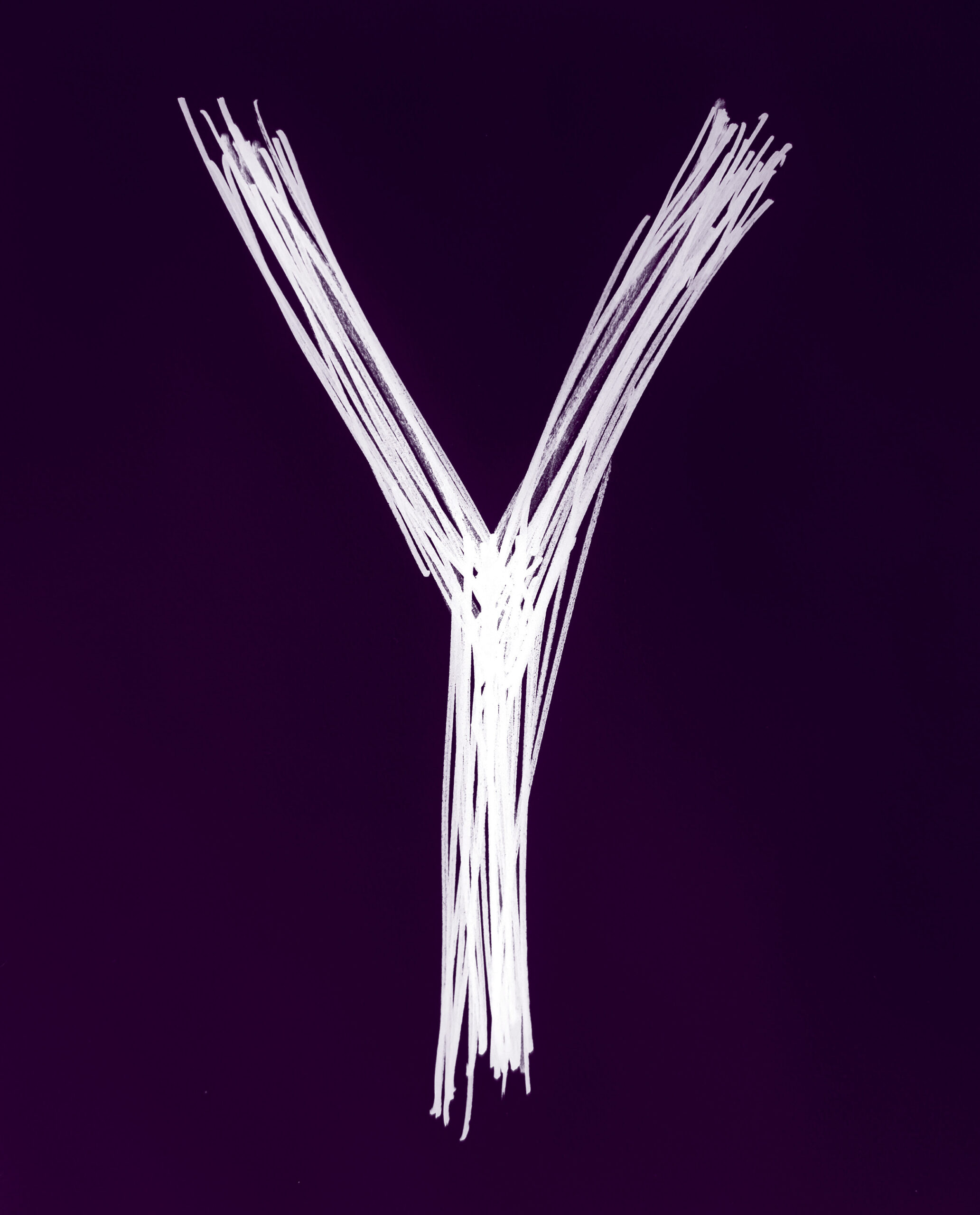 Indigo book cover with a bold, scrawled white “Y” as the central design element