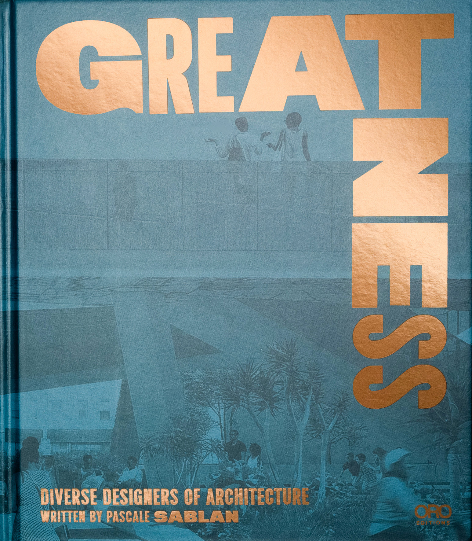Book cover with blue-toned image of people utilizing an outdoor architectural space, with the title, subtitle “Diverse Designers of Architecture”, and the author’s name in gold lamé text